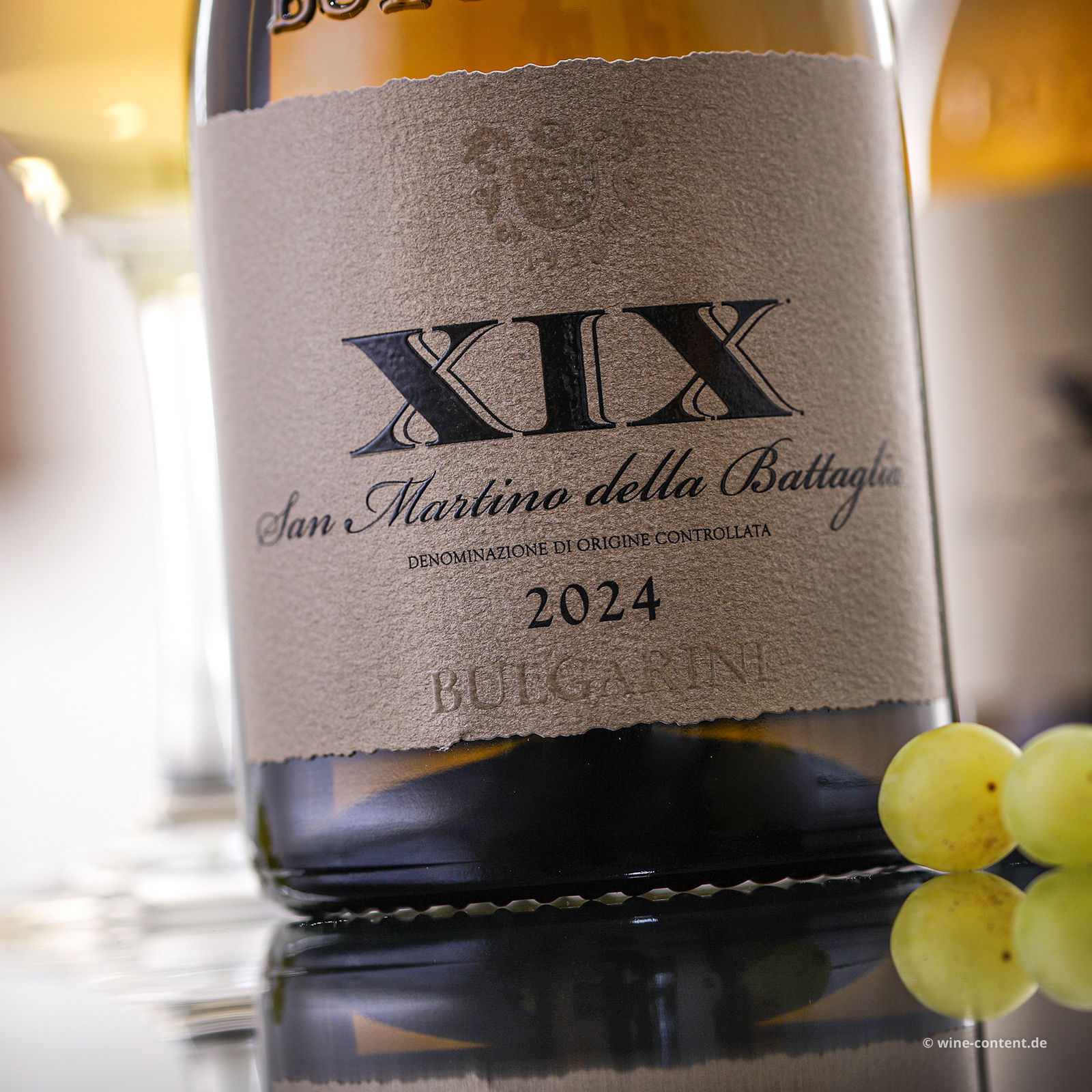 San Martino della Battaglia 2024 XIX