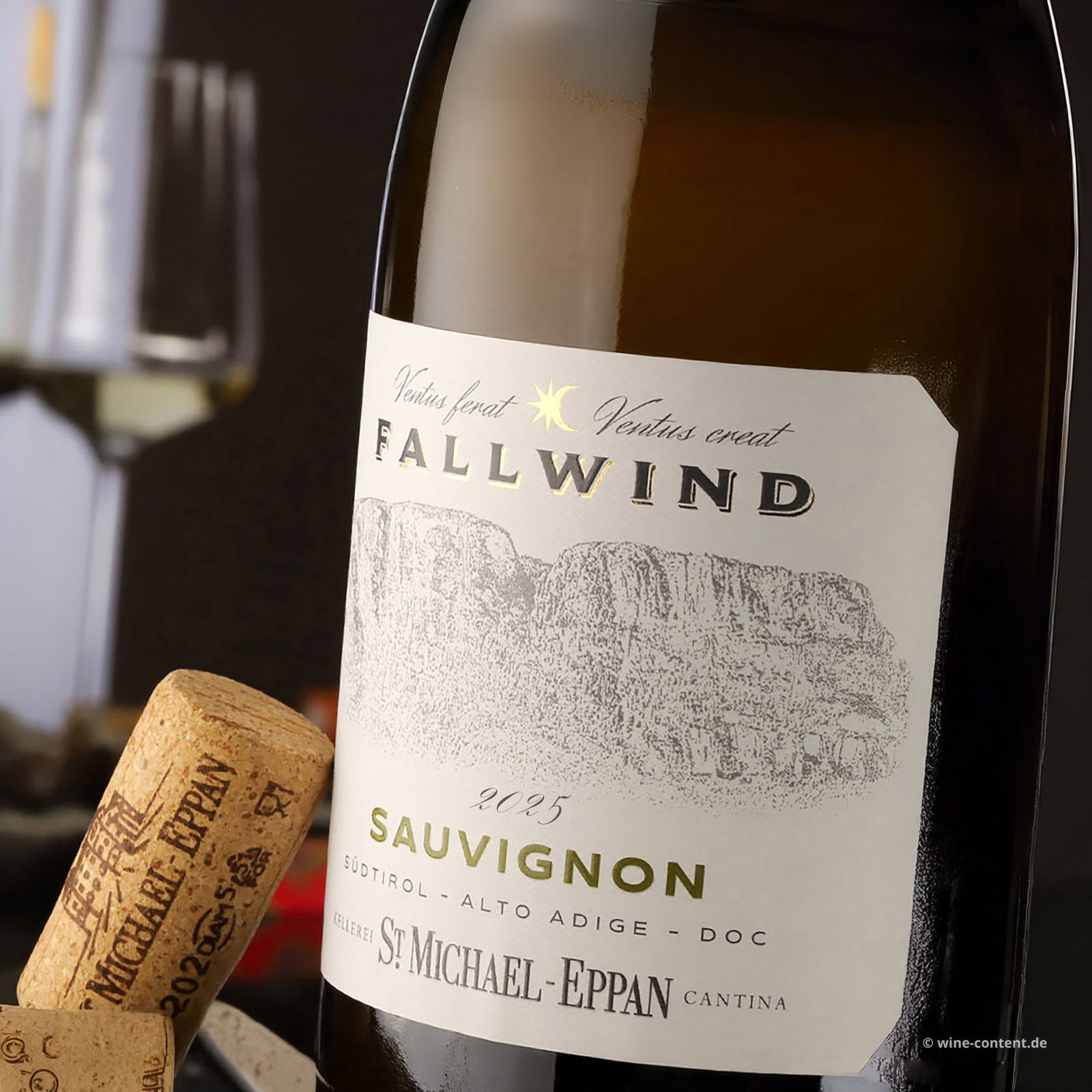Sauvignon Blanc 2025 Fallwind