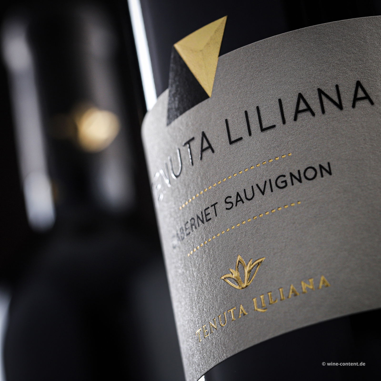 Cabernet Sauvignon Salento 2023