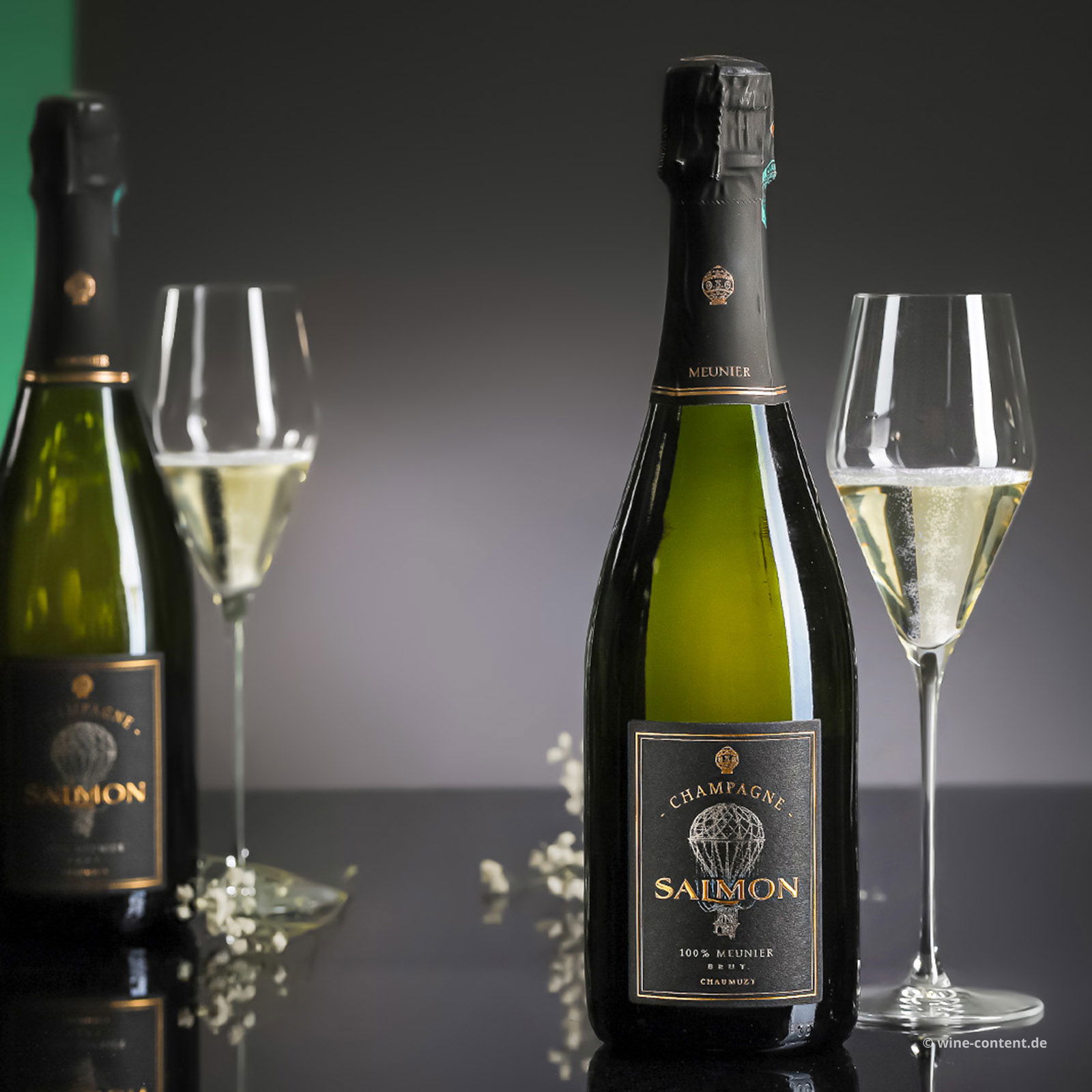 Champagner 100% Meunier Blanc Brut