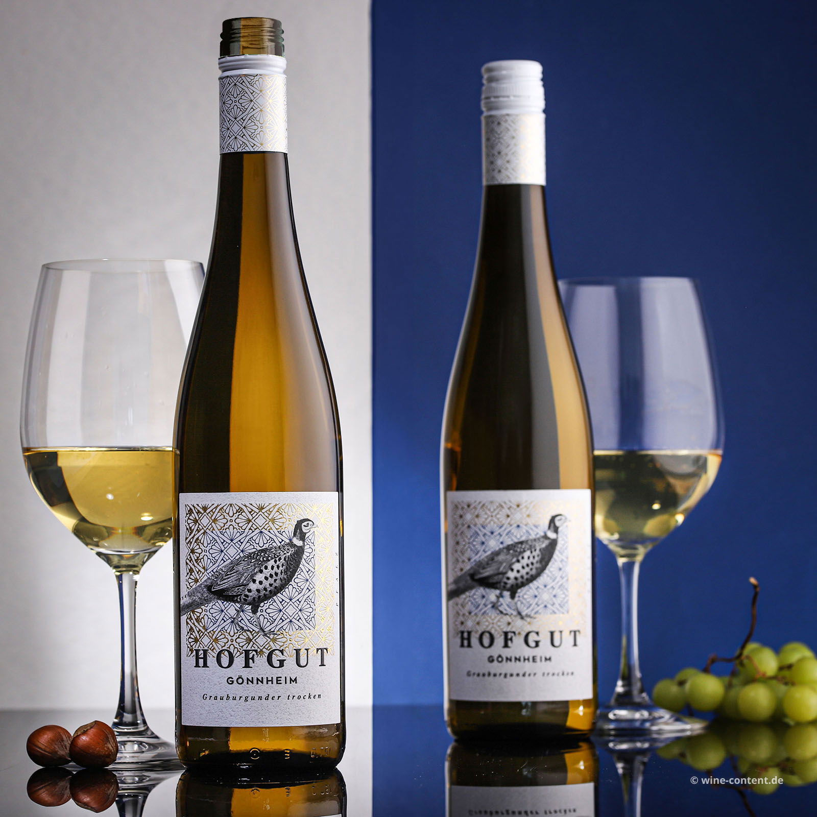 Grauburgunder 2024 Gönnheim Bio