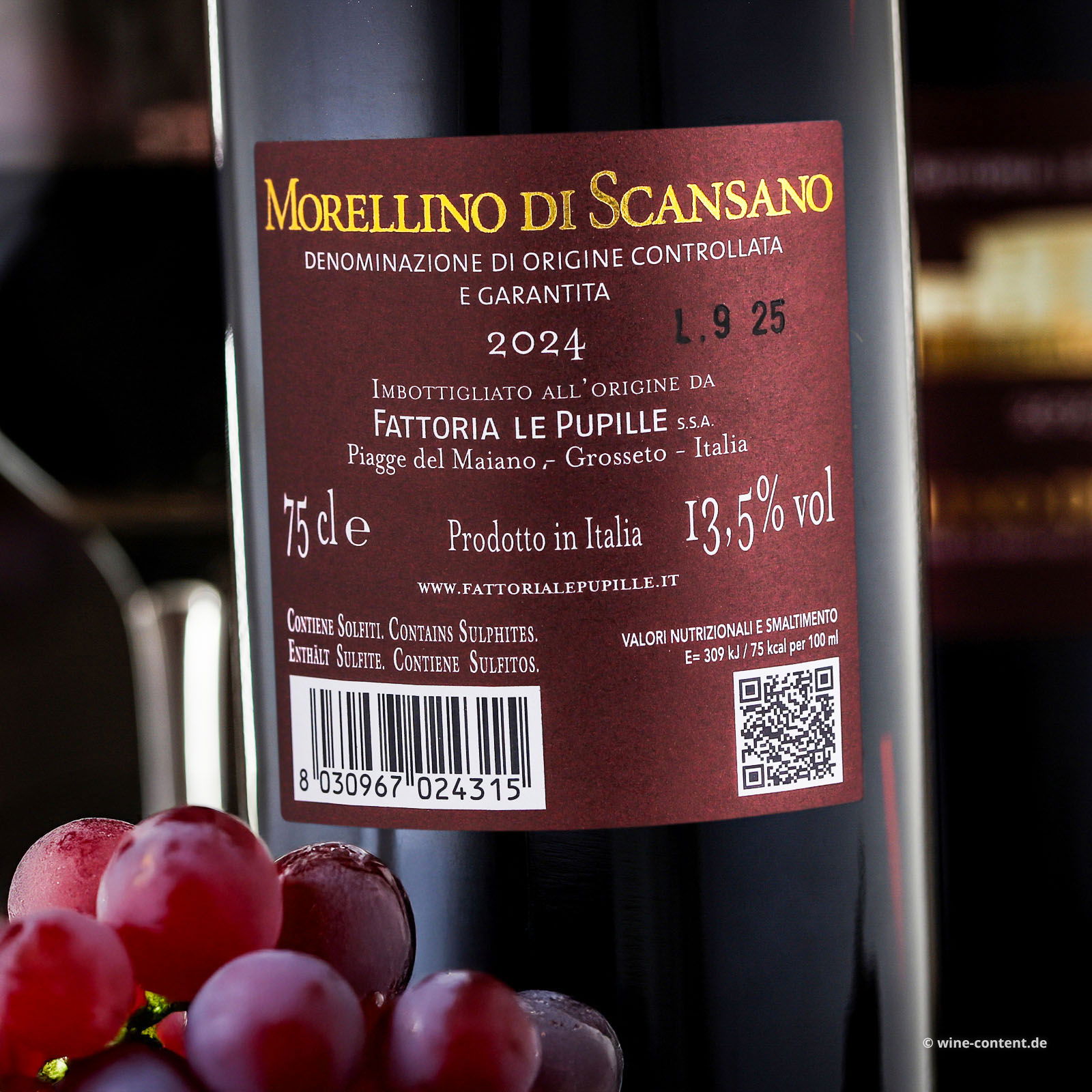 Morellino di Scansano 2024