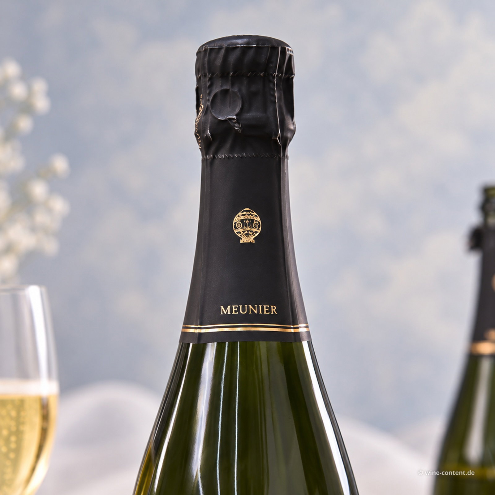Champagner 100% Meunier Blanc Brut