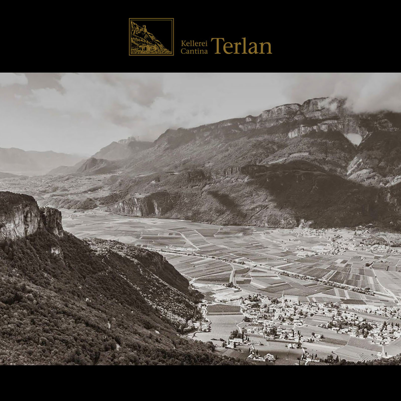 Weißburgunder Riserva 2022 Vorberg