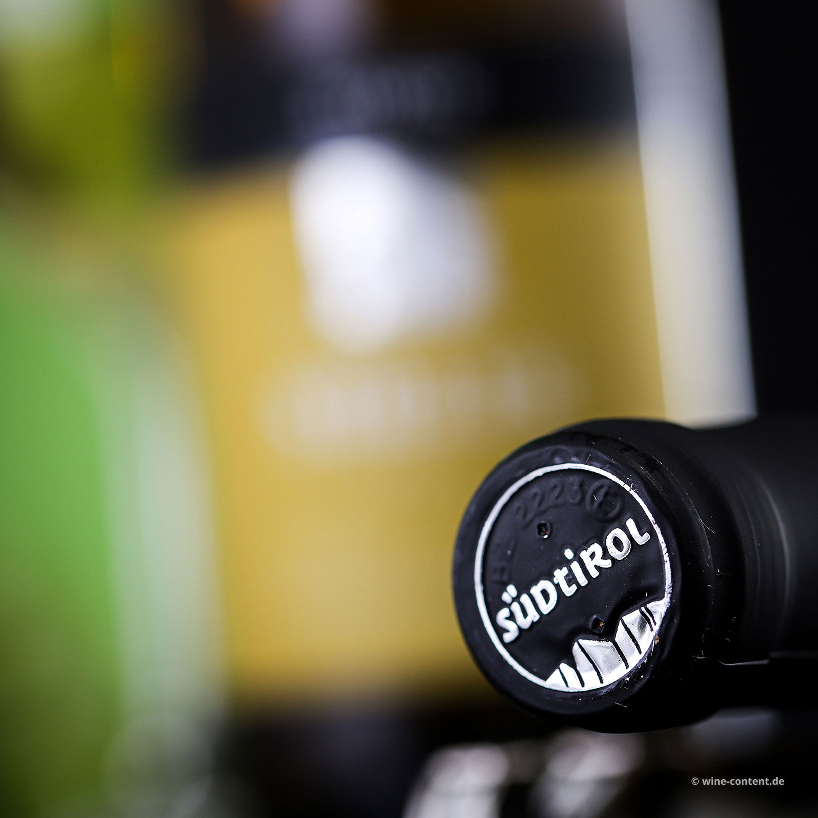 Pinot Grigio 2024 Stieler