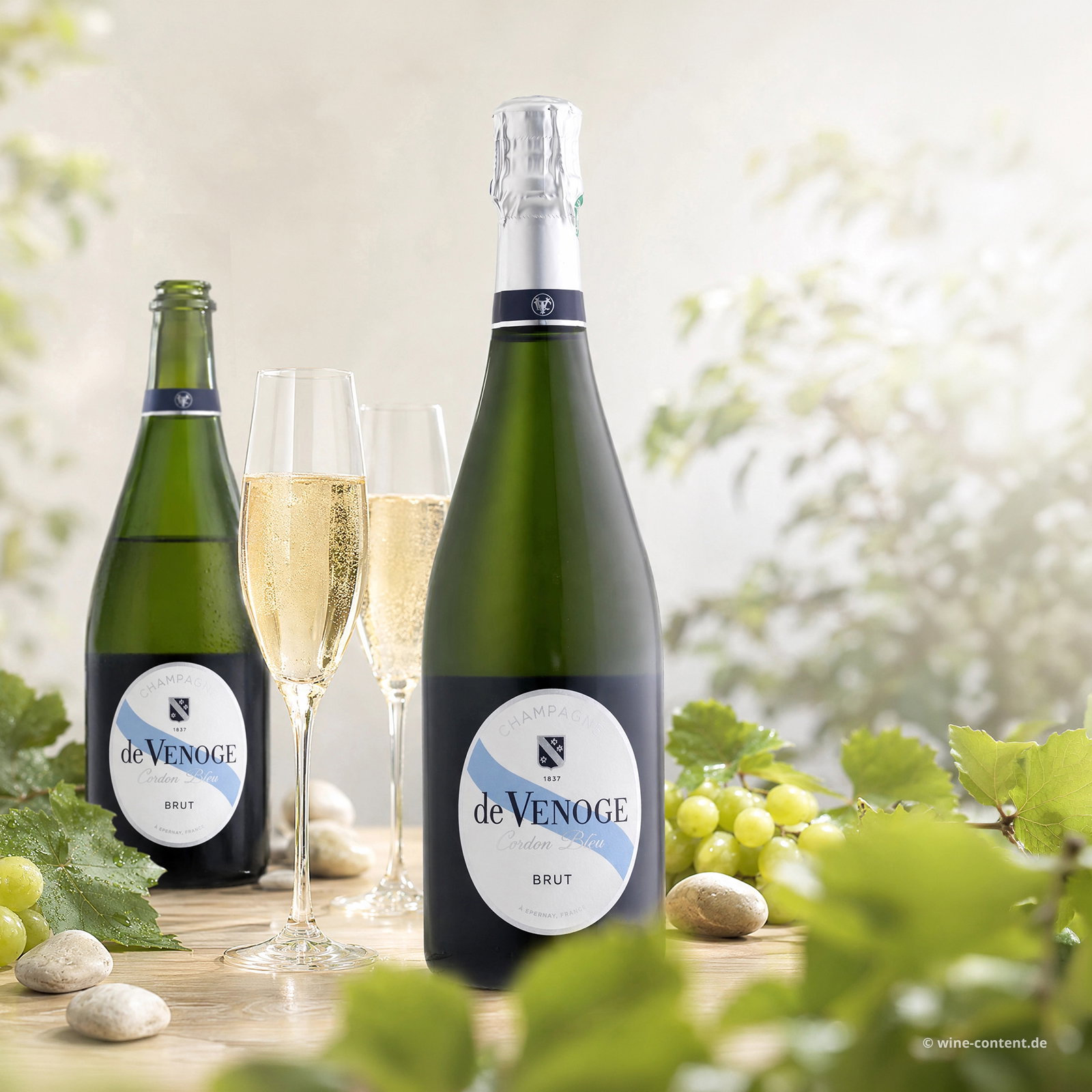 Champagner Cordon Bleu Brut
