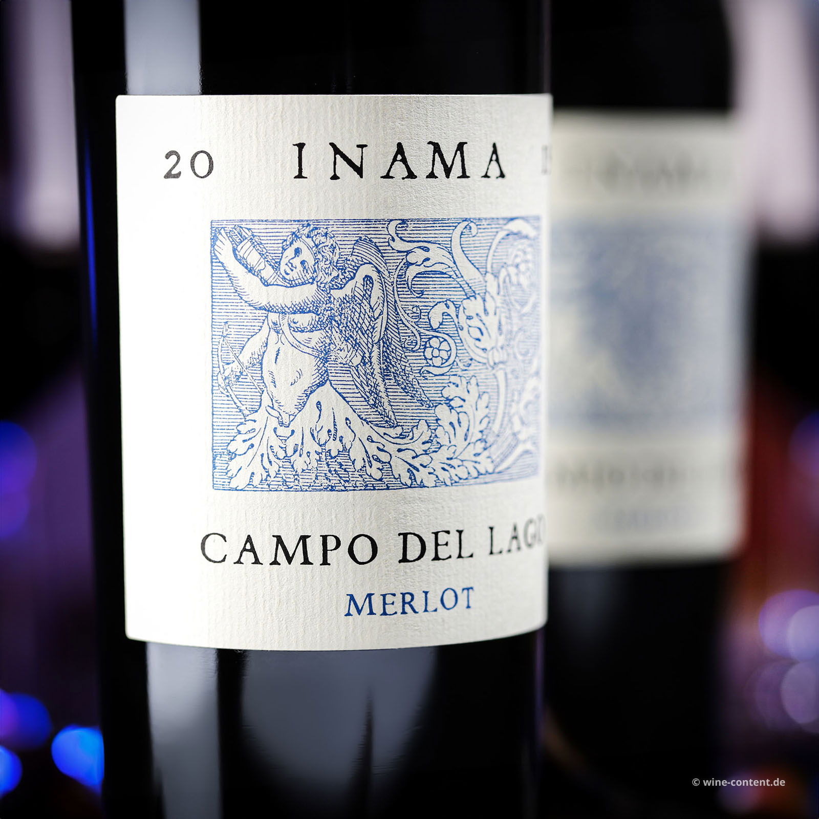 Merlot 2022 Campo del Lago