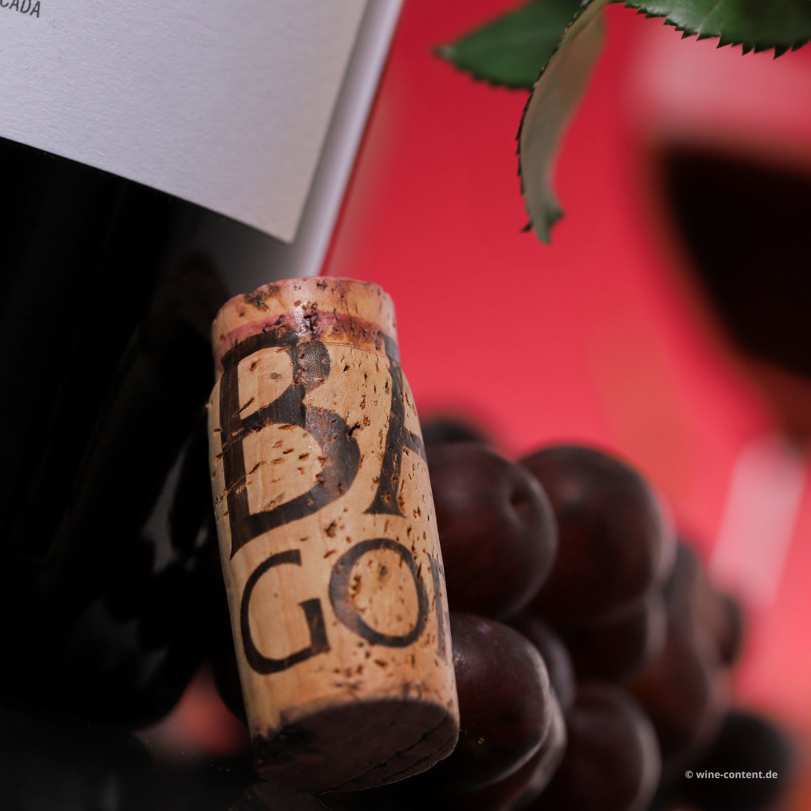 Rioja 2025 Negu