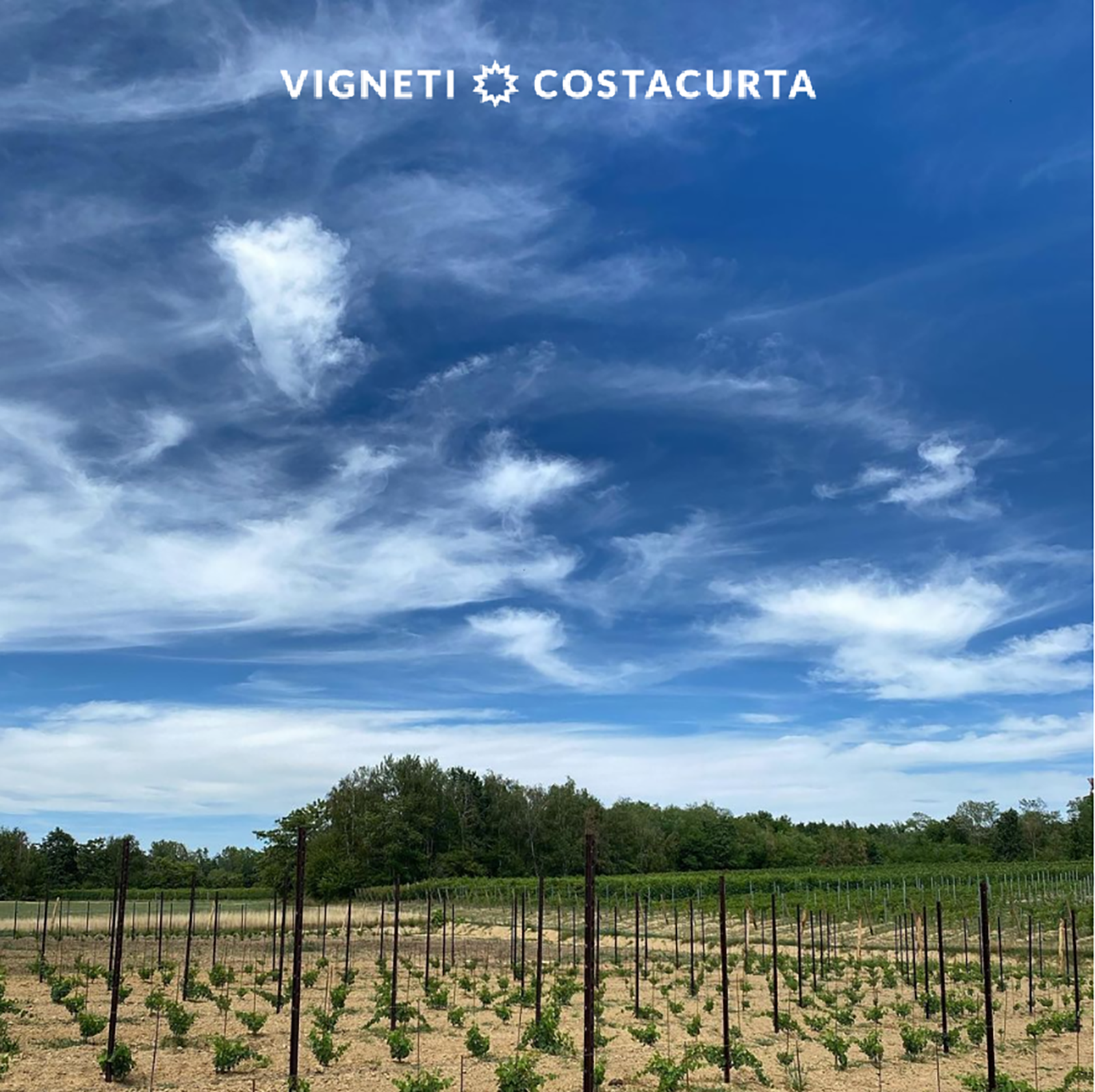 Tintaunita 2021