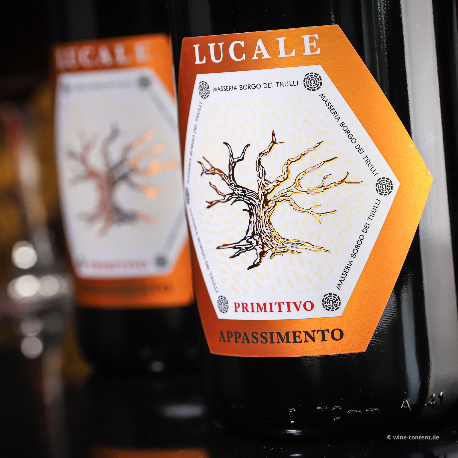 Primitivo Appassimento 2023 Lucale