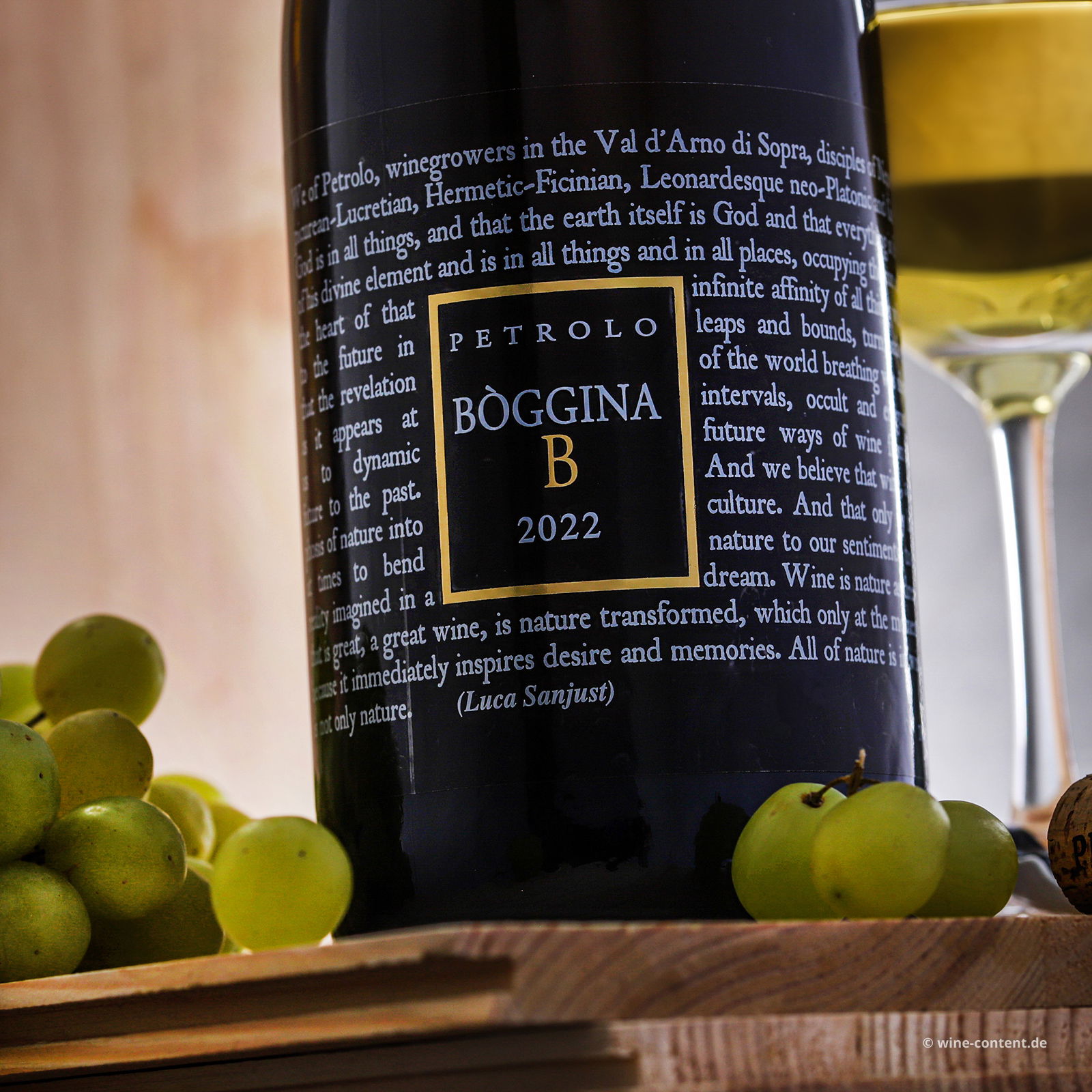 Bòggina Bianco 2022 Bio