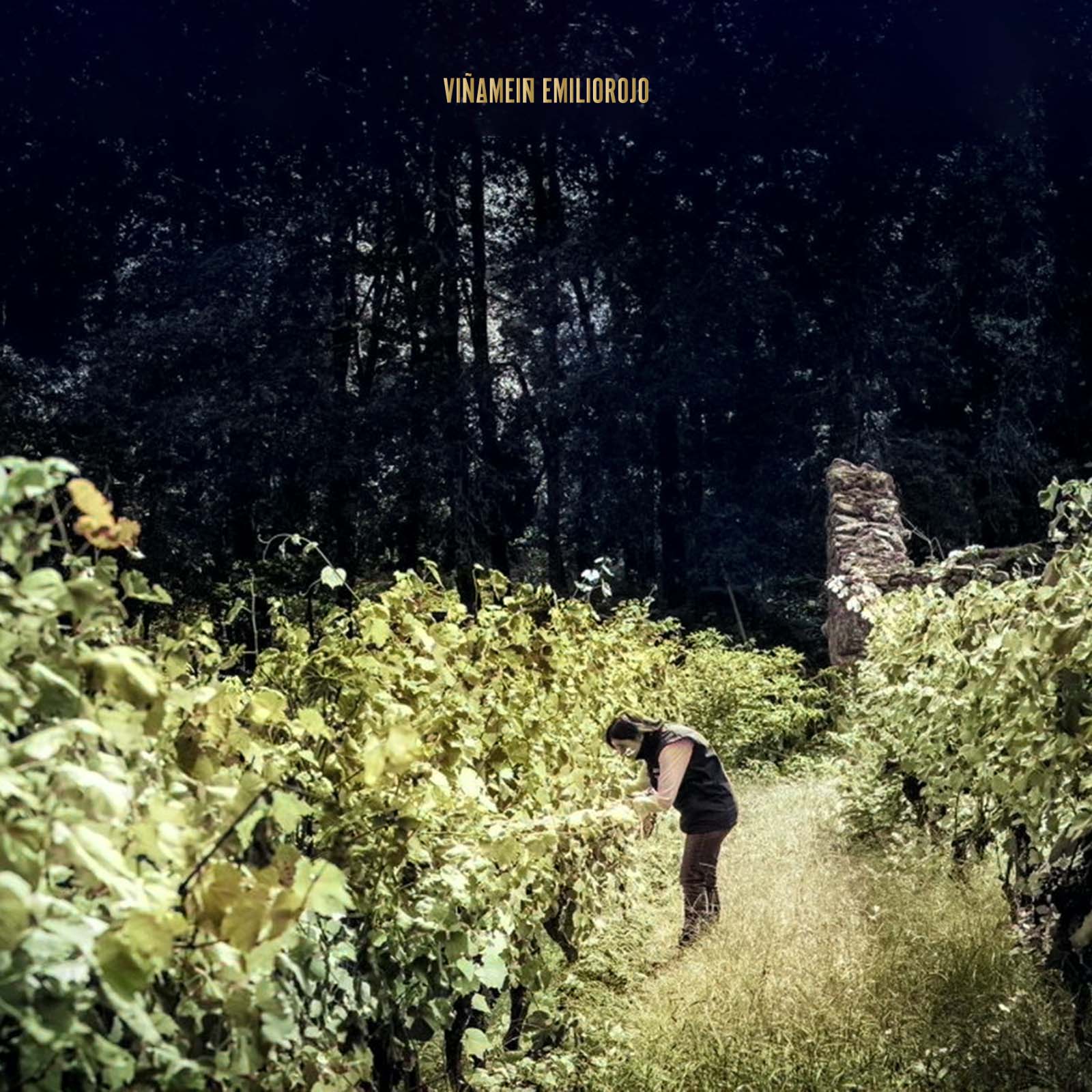 Ribeiro Blanco 2020 O Gran Meín