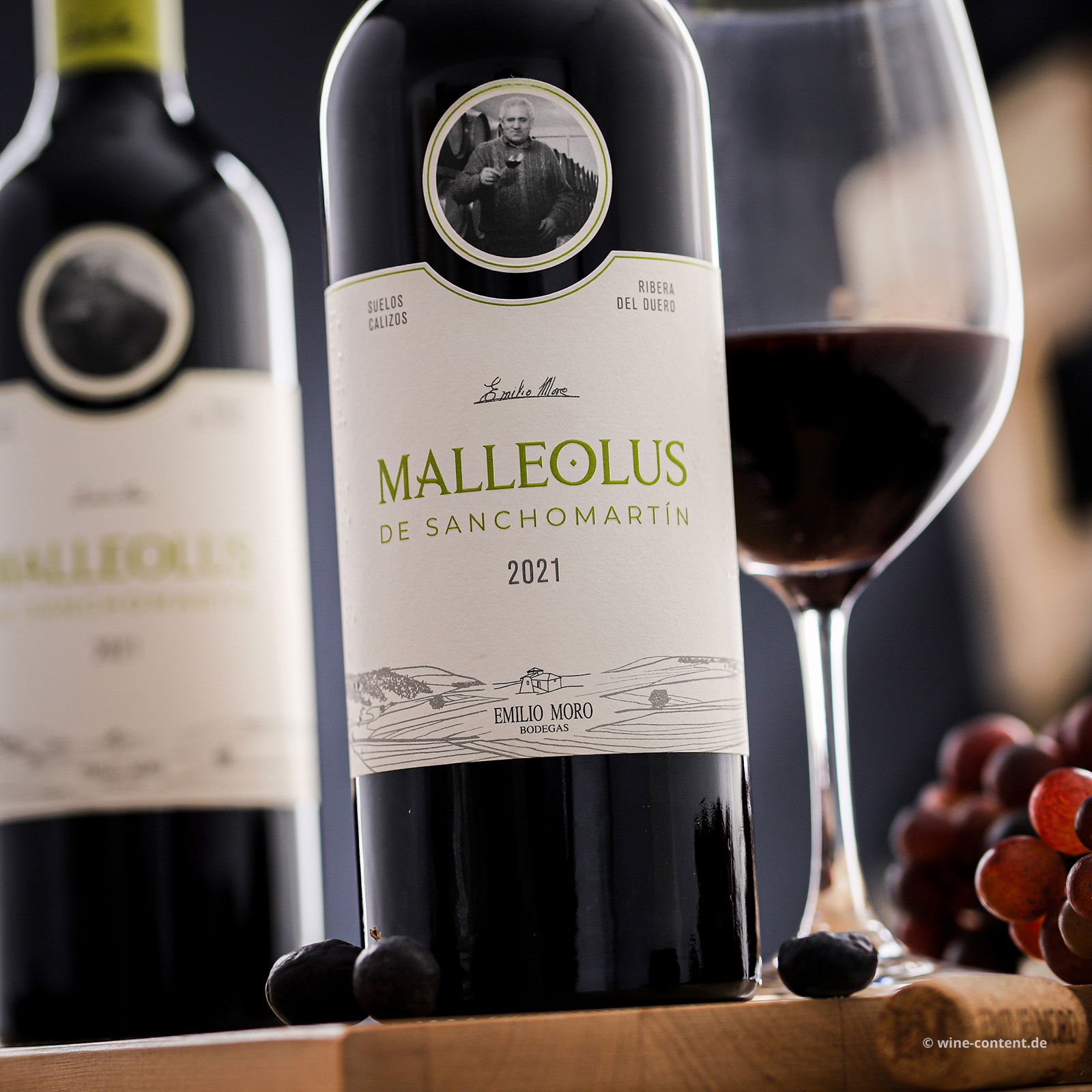 Malleolus de Sanchomartin 2021