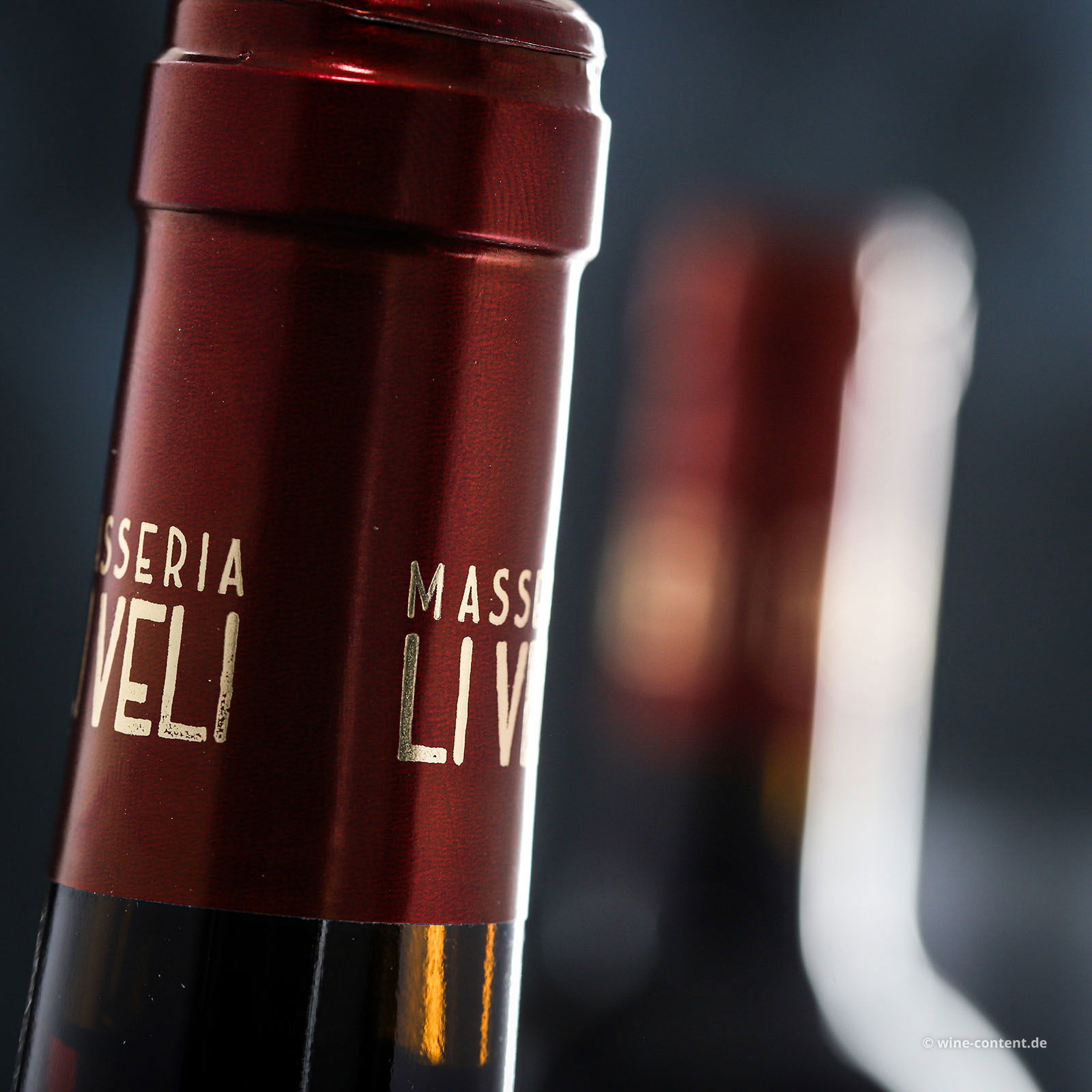 Negroamaro Salice Salentino 2023 Passamante