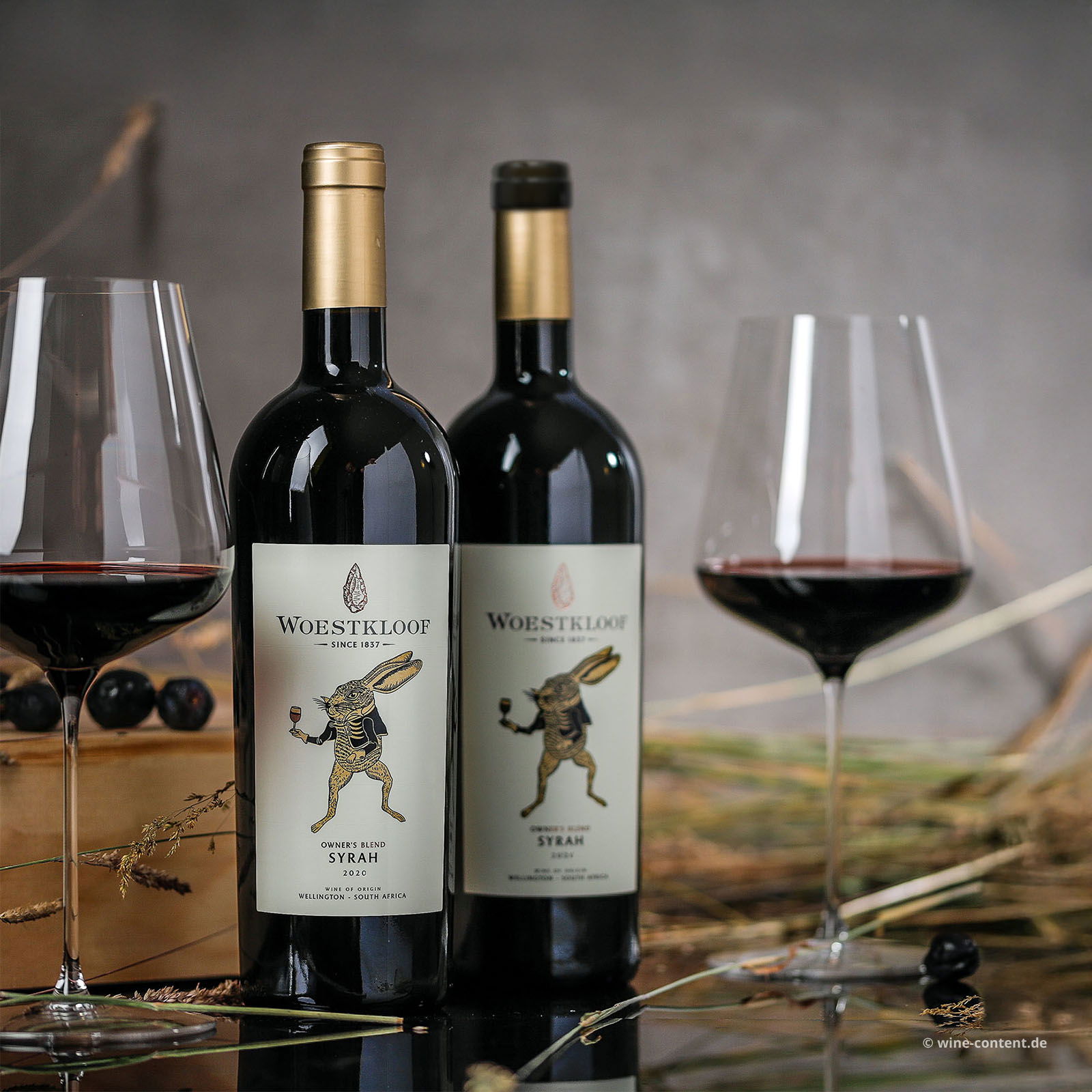 Syrah 2020 Owner's Blend