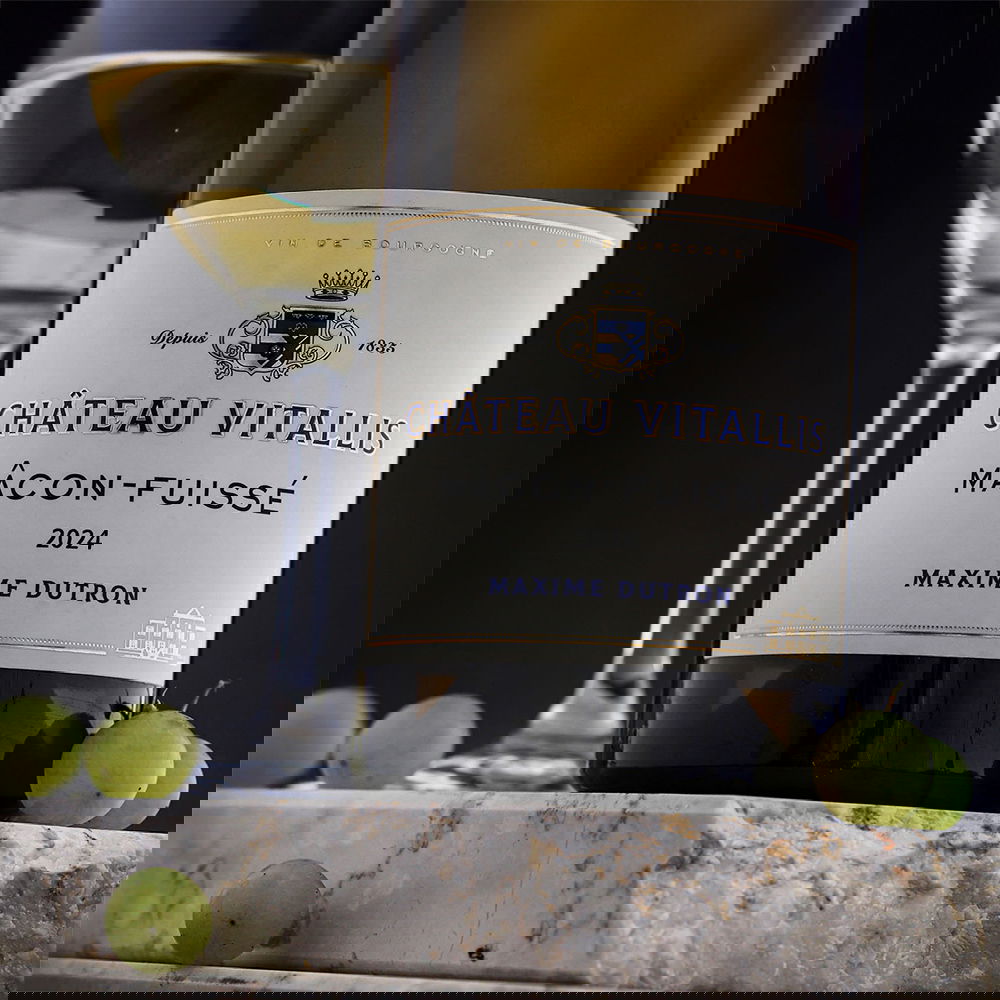 Mâcon-Fuissé 2024