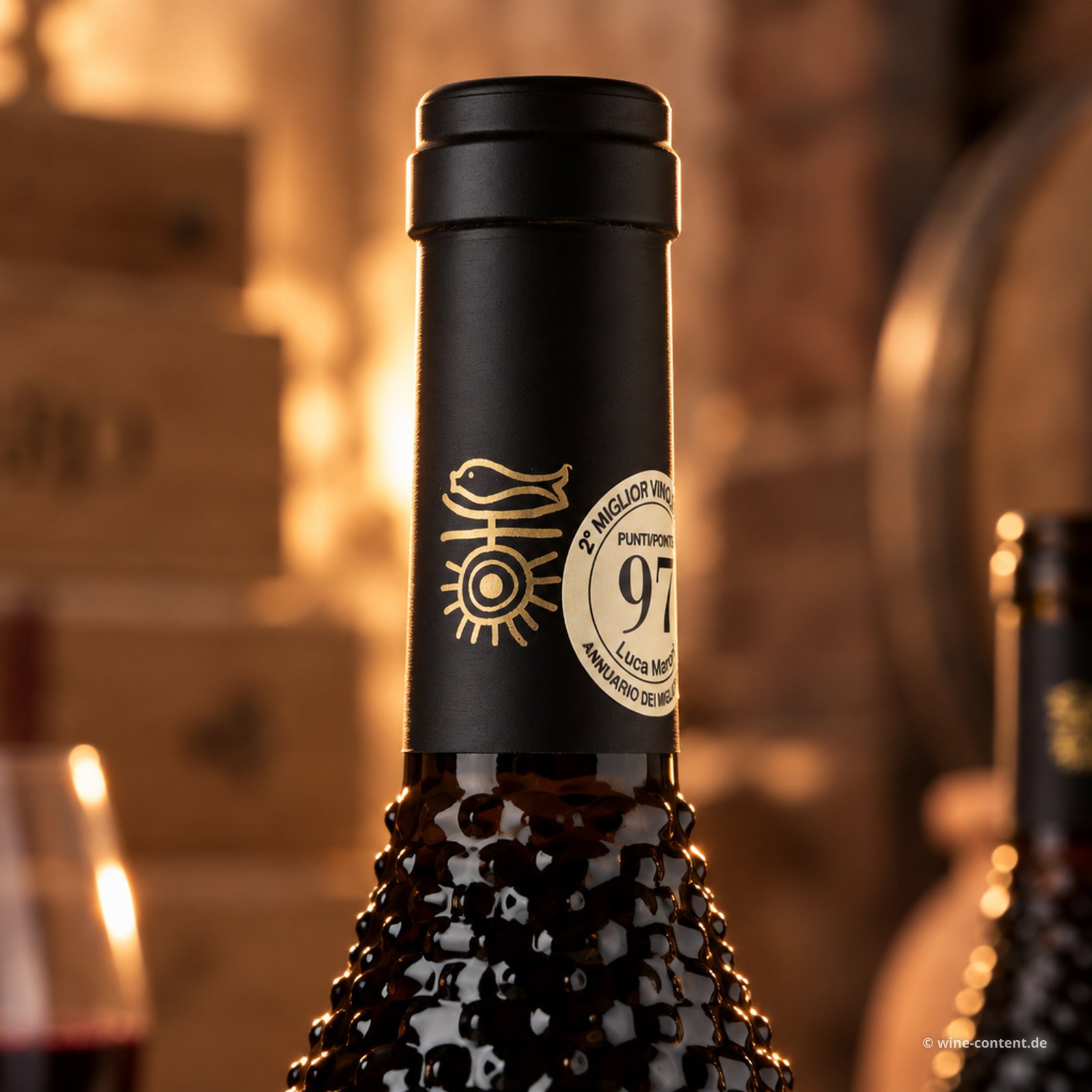 Primitivo 2024 Cinquenoci