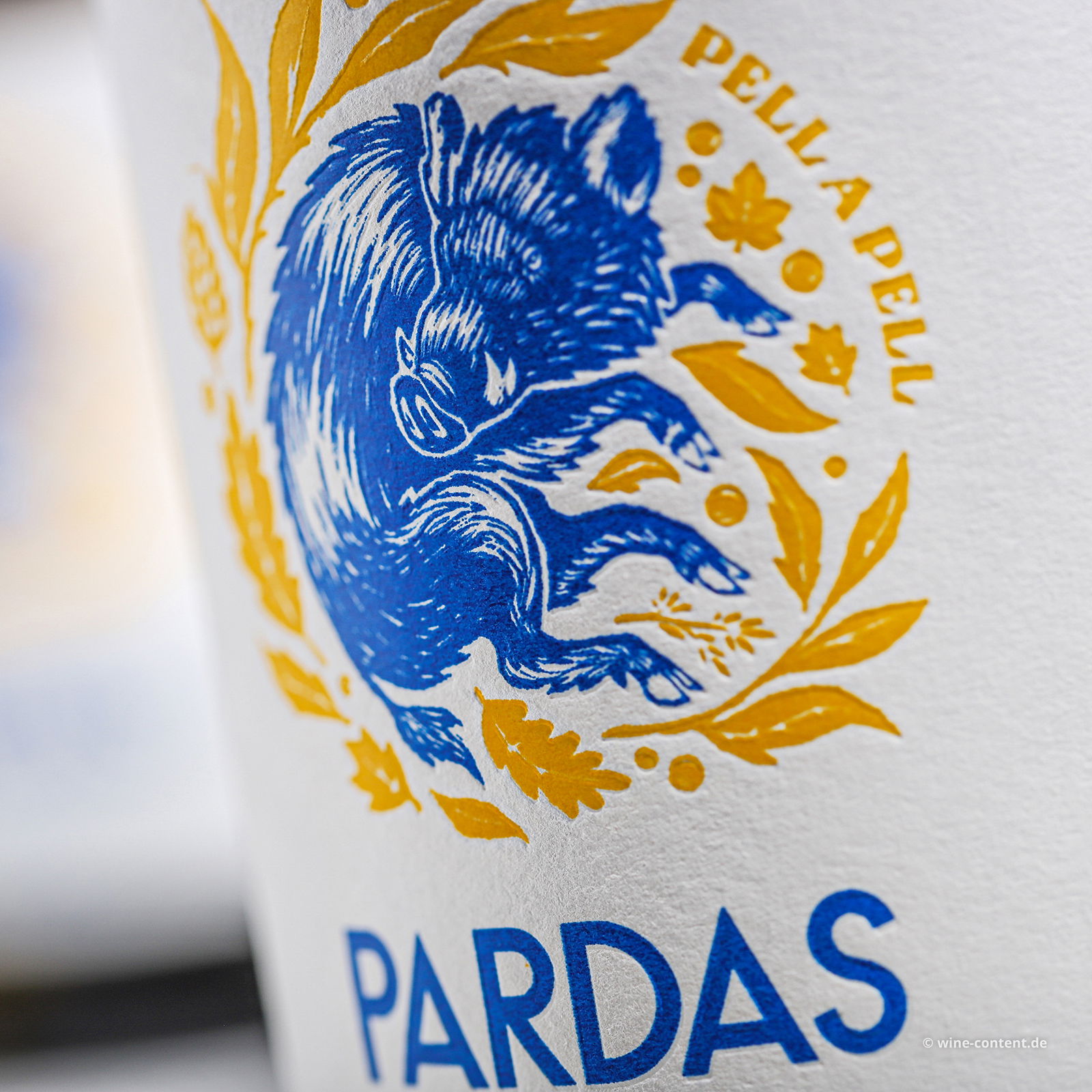 Pell a Pell 2022 Bio