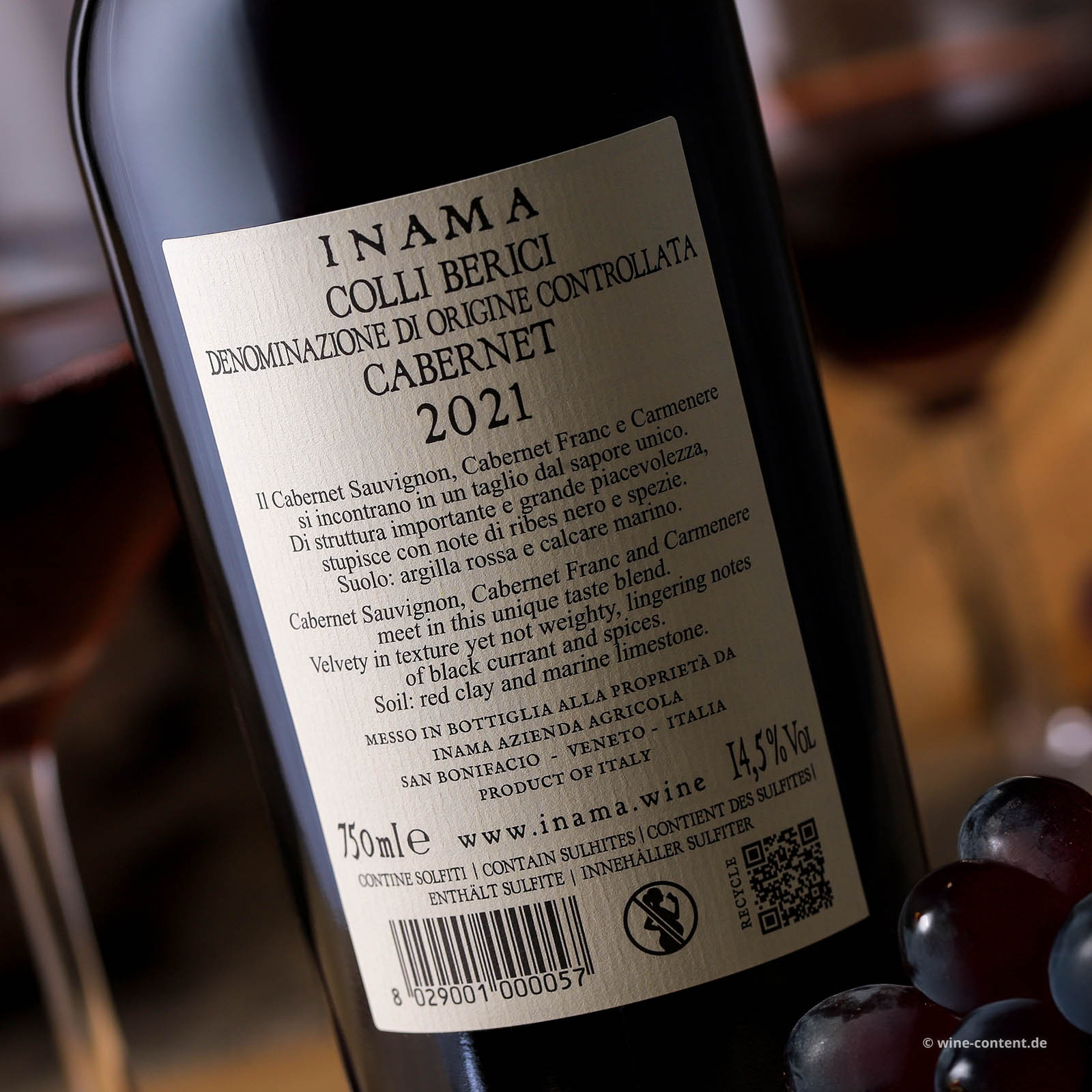 Cabernet 2021 Bradisismo