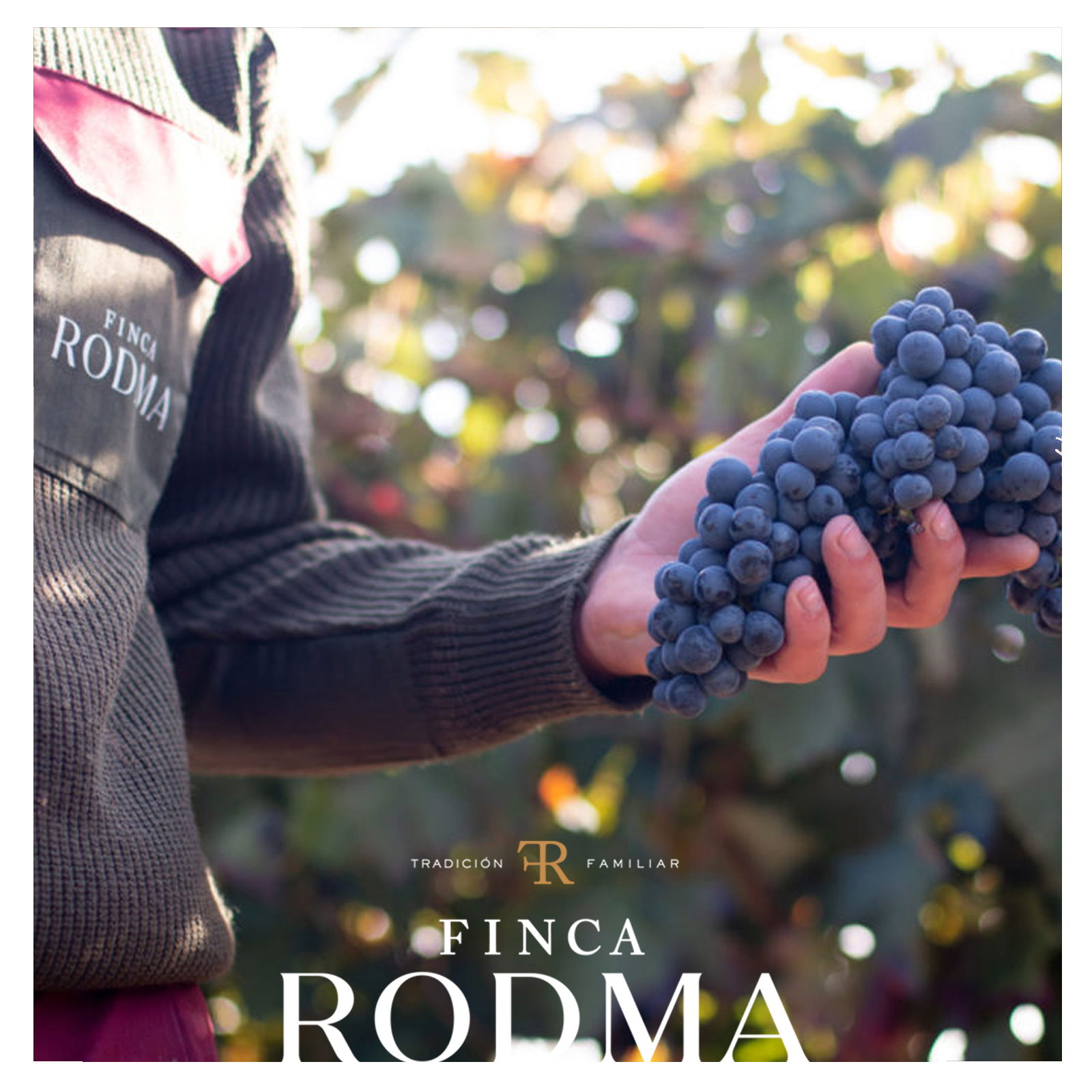 Tempranillo 2021 Avizor