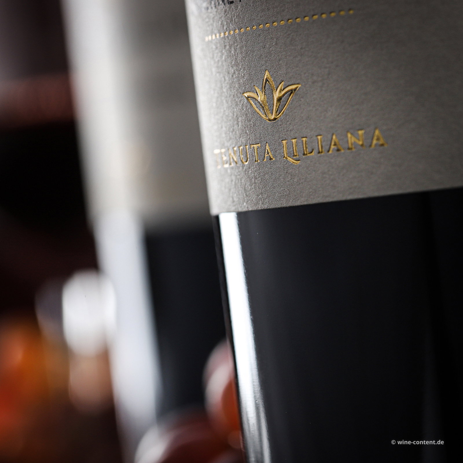 Cabernet Sauvignon Salento 2022