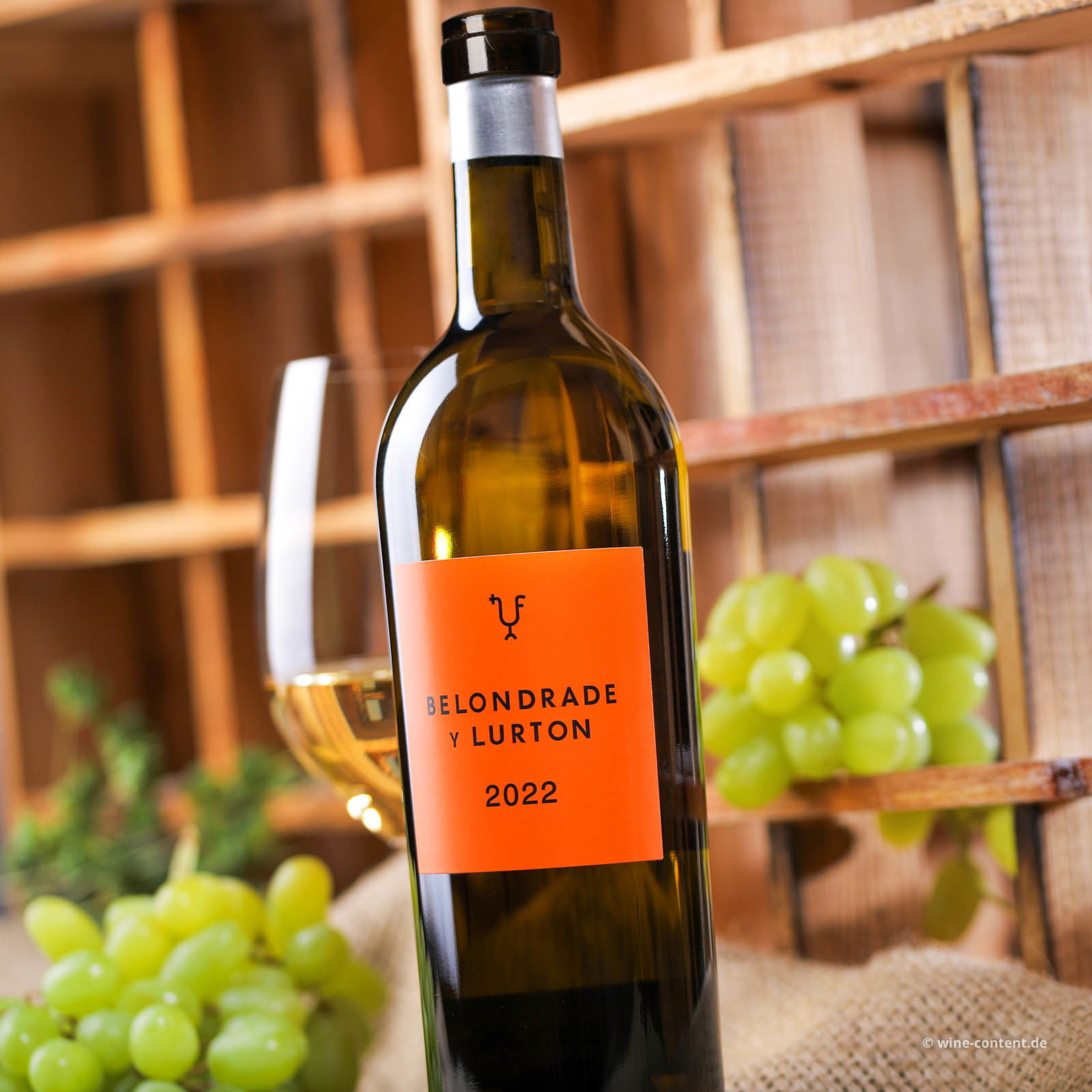 Verdejo 2022 Belondrade y Lurton Bio