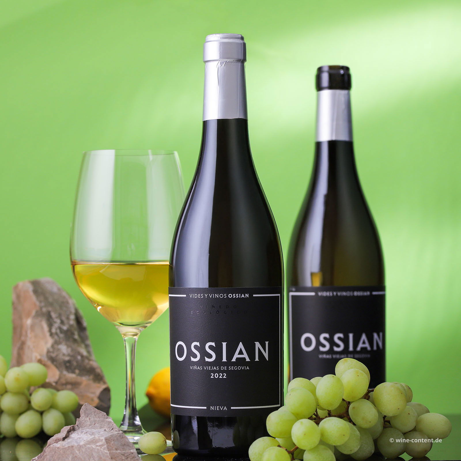Verdejo 2022 Ossian Bio