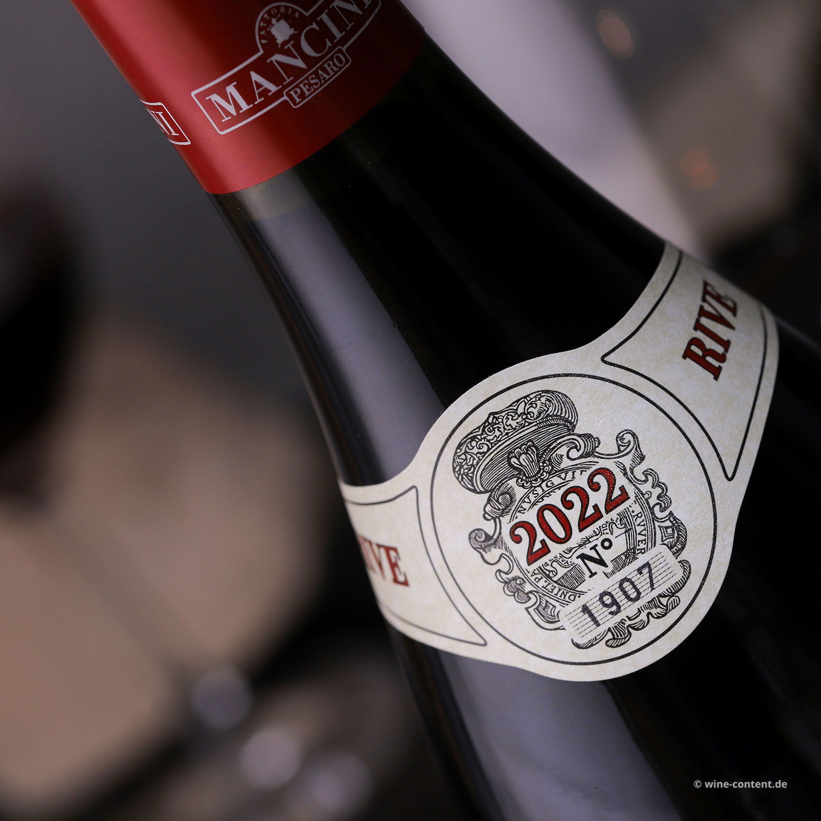 Pinot Noir 2022 Rive di Focara