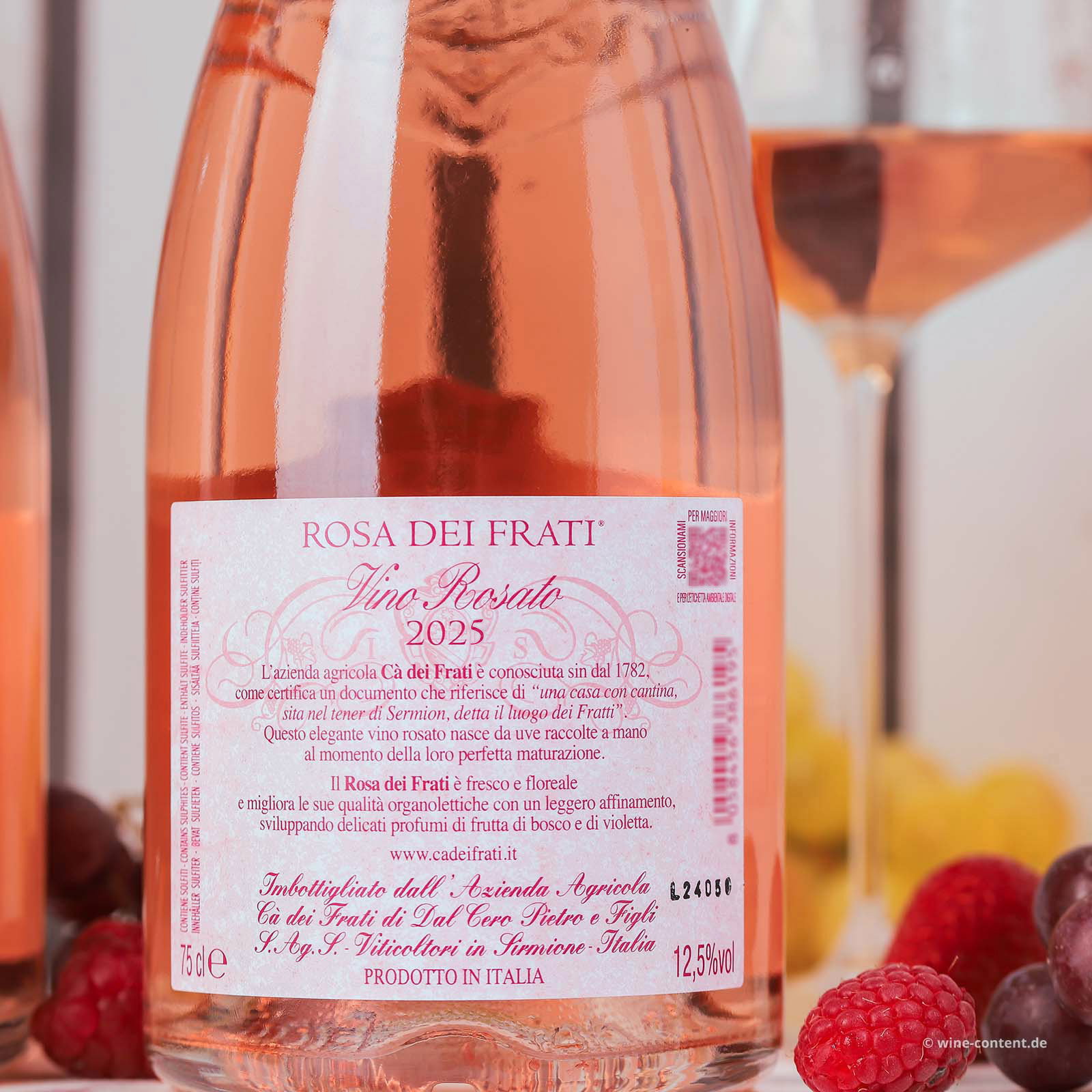 Rosa dei Frati 2025