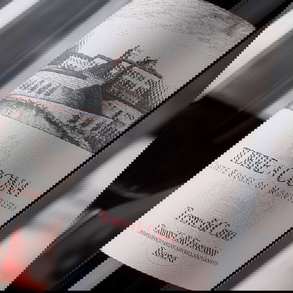 Chianti Colli Fiorentini Riserva 2019 Terre di Cino