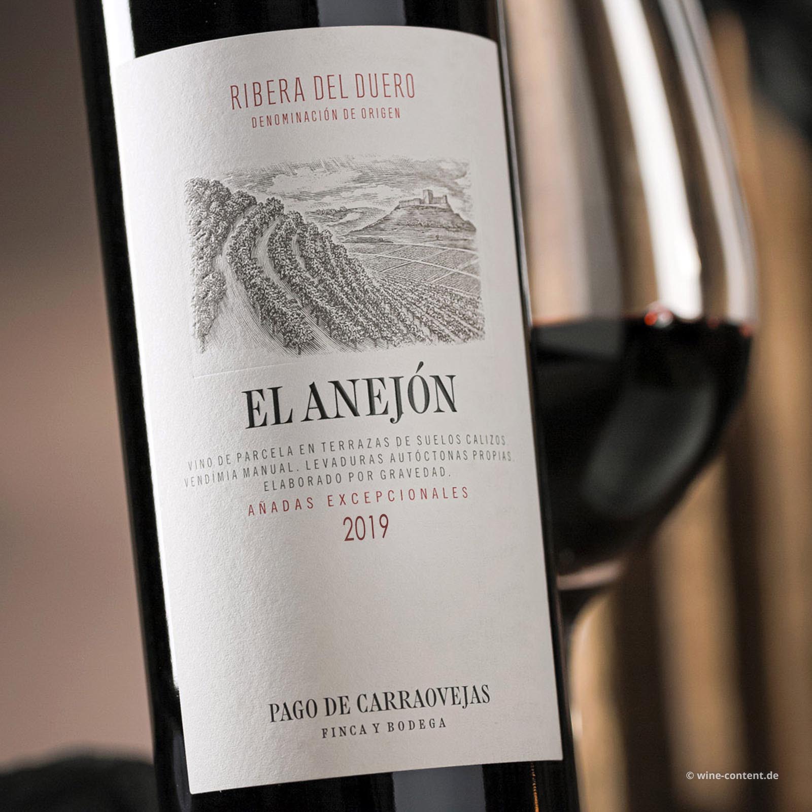 El Anejón 2019