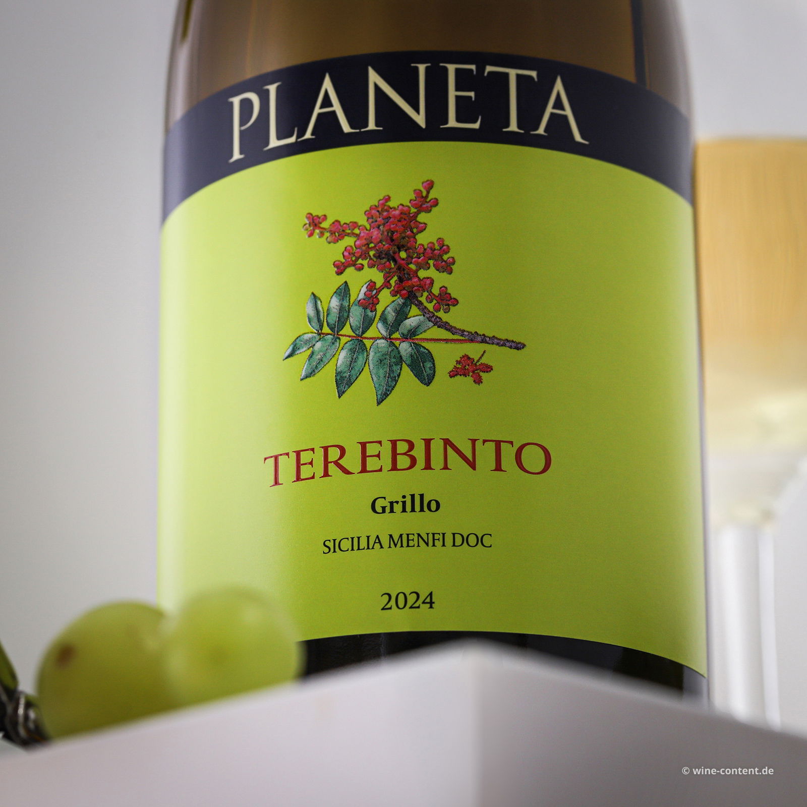 Grillo Sicilia Menfi 2024 Terebinto Bio
