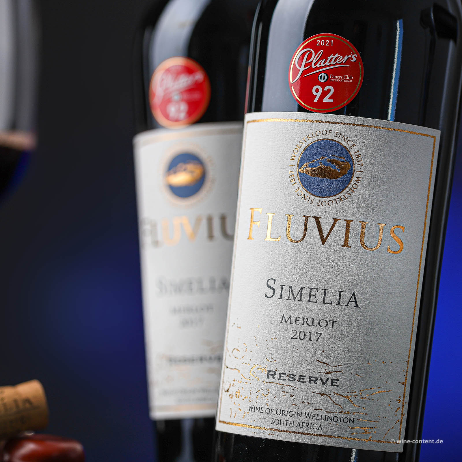 Merlot Reserve 2017 Fluvius