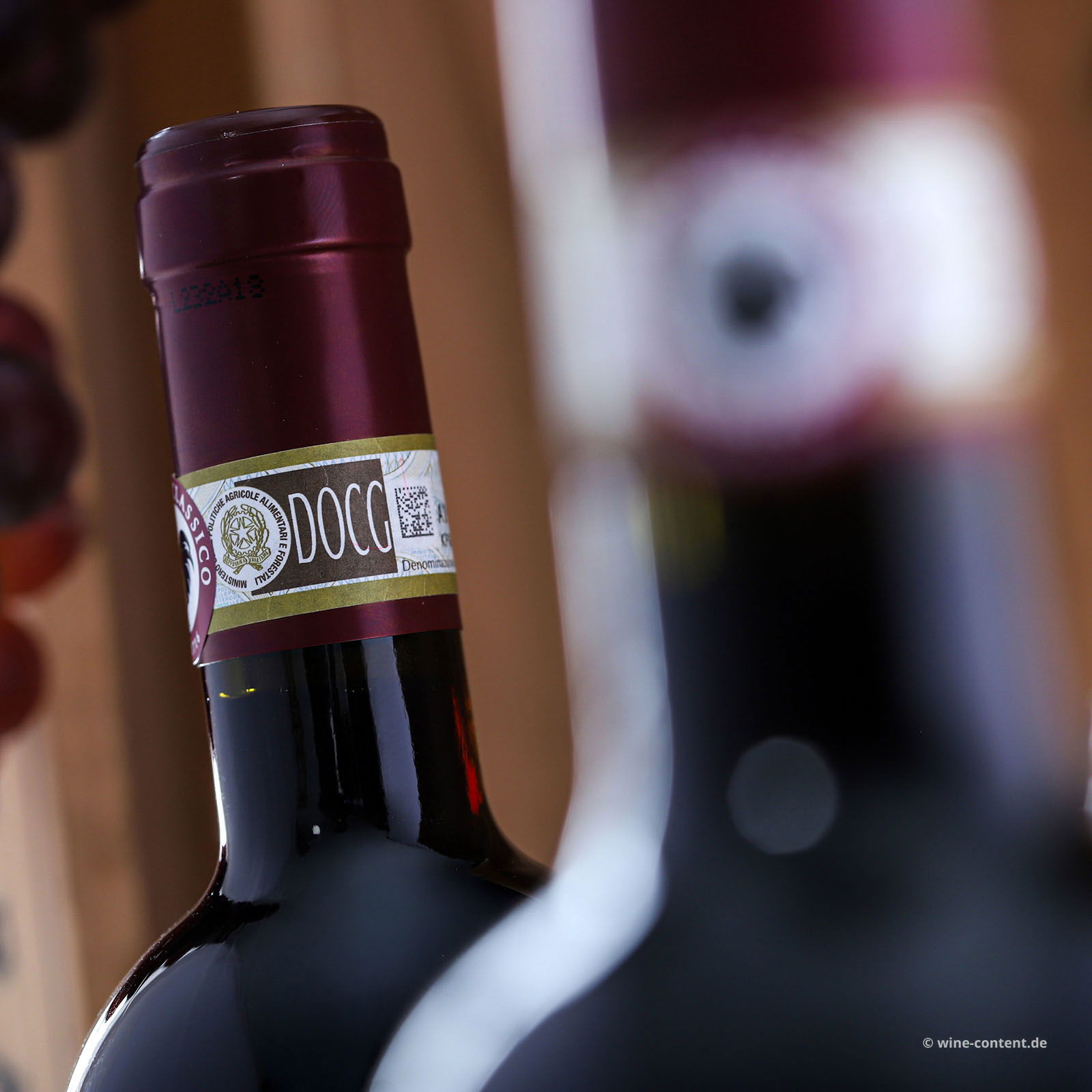 Chianti Classico 2021 Bio