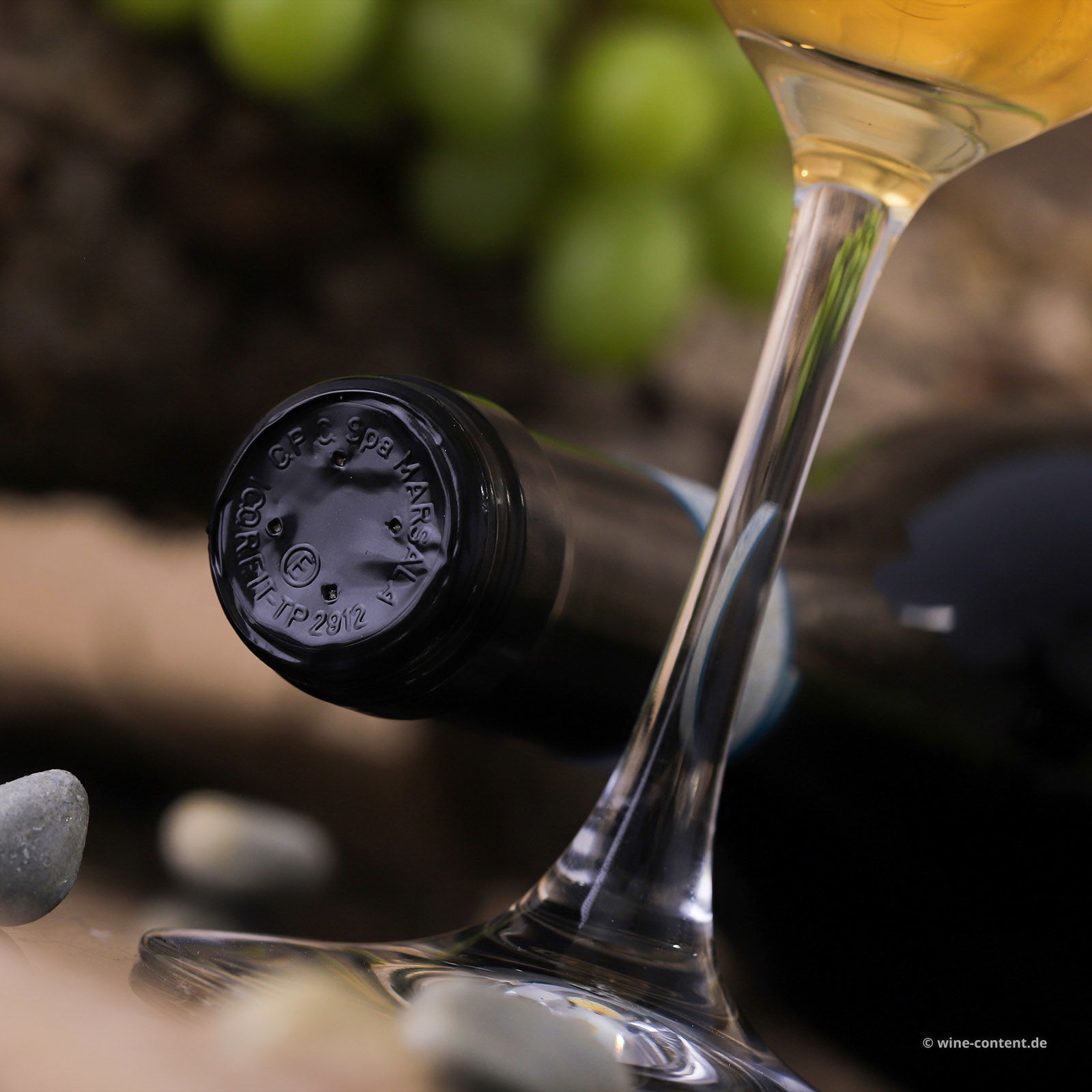 Grillo Sicilia 2025 Il Salinaro