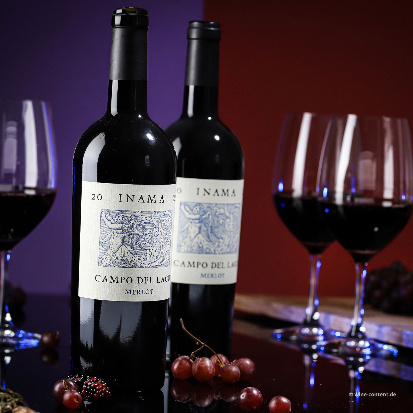 Merlot 2022 Campo del Lago