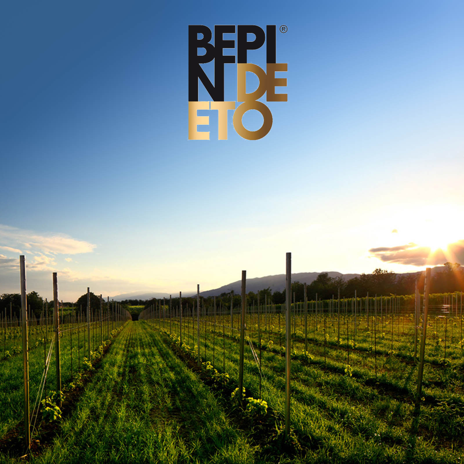 Spumante Rosato 2024 Flavé Brut