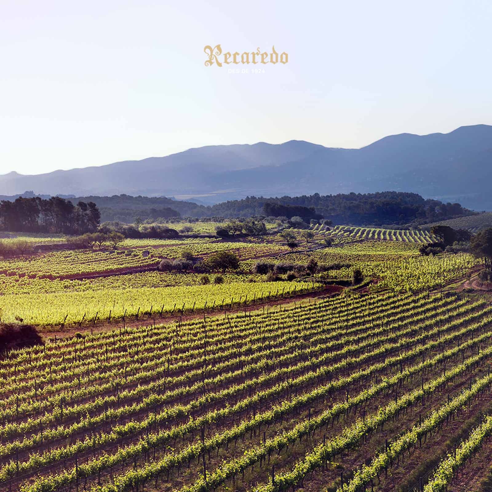 Corpinnat Rosat 2017 Intens Brut Nature Bio