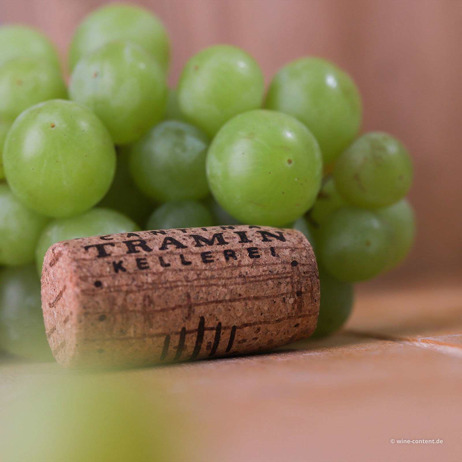 Sauvignon 2025 Classic