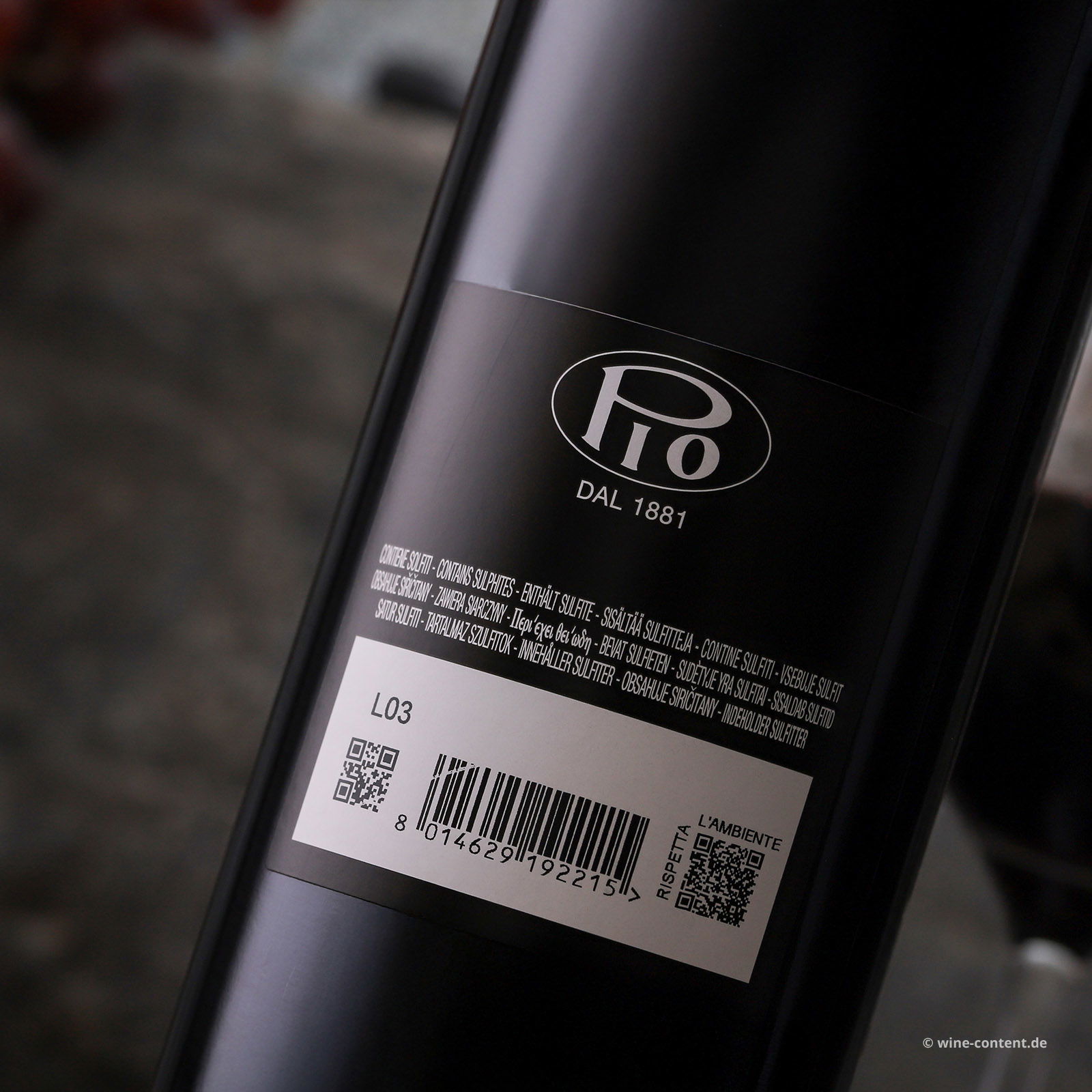 Nebbiolo Langhe 2022