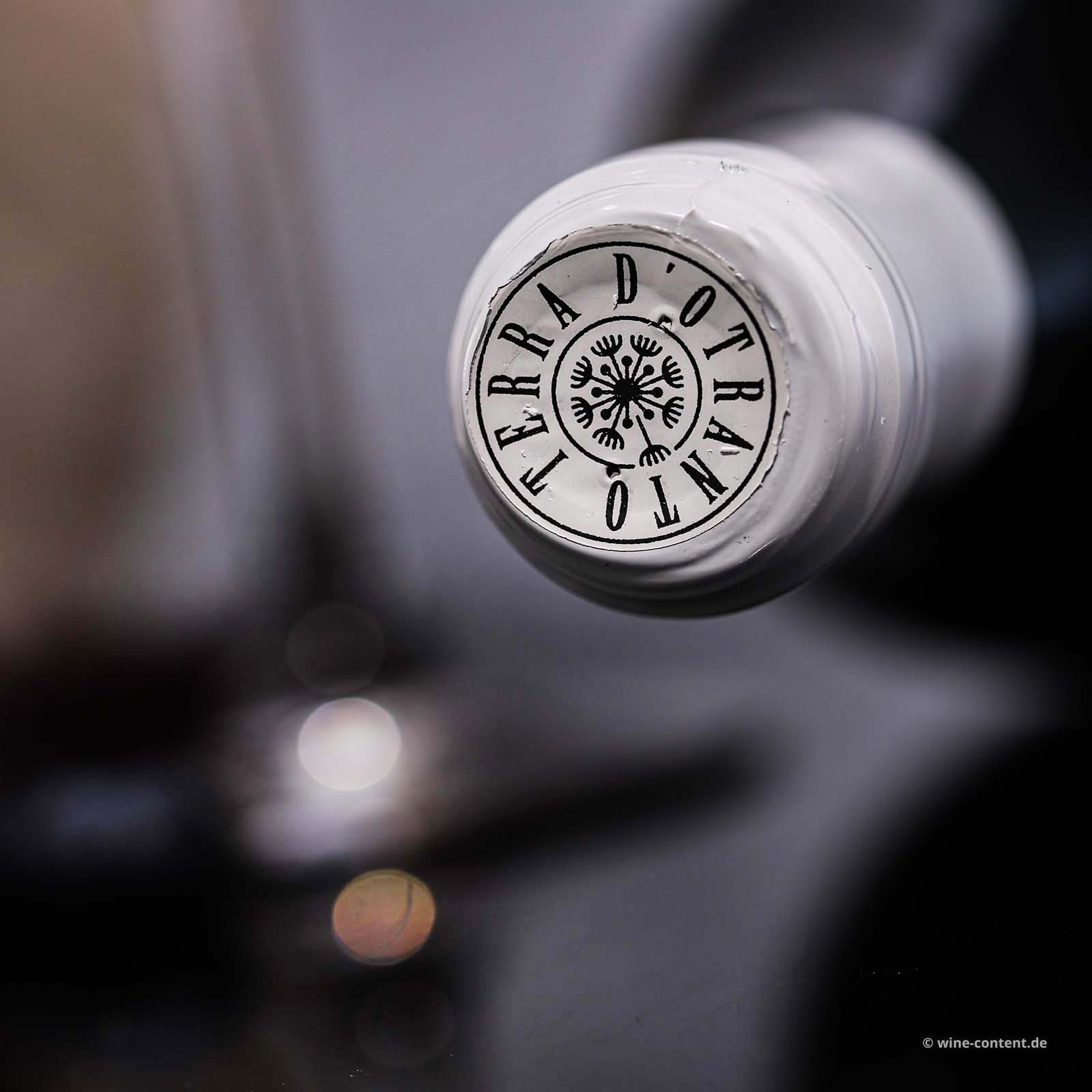 Negroamaro Terra d'Otranto 2023 Pepe