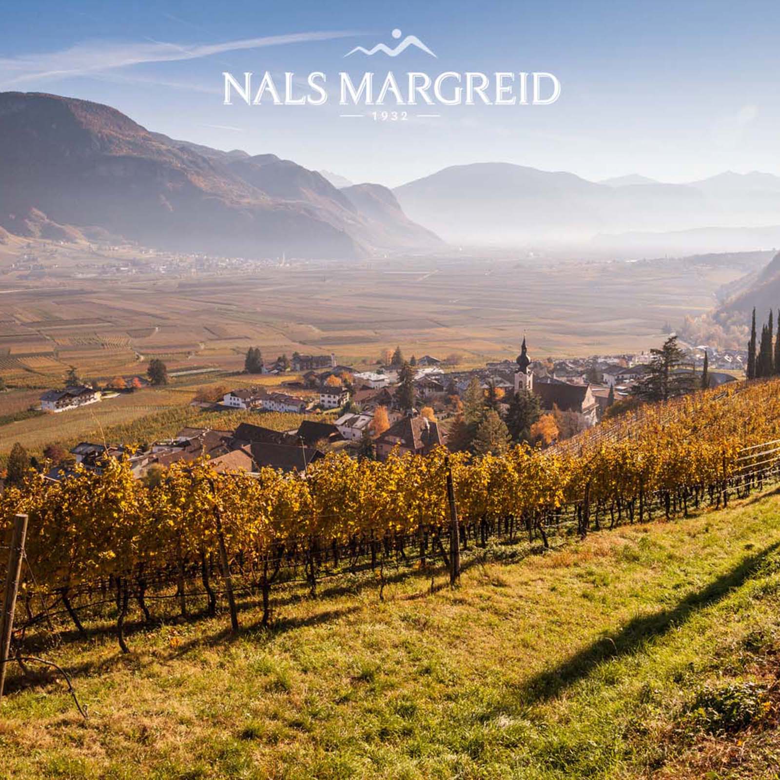 Pinot Bianco 2025 Berg