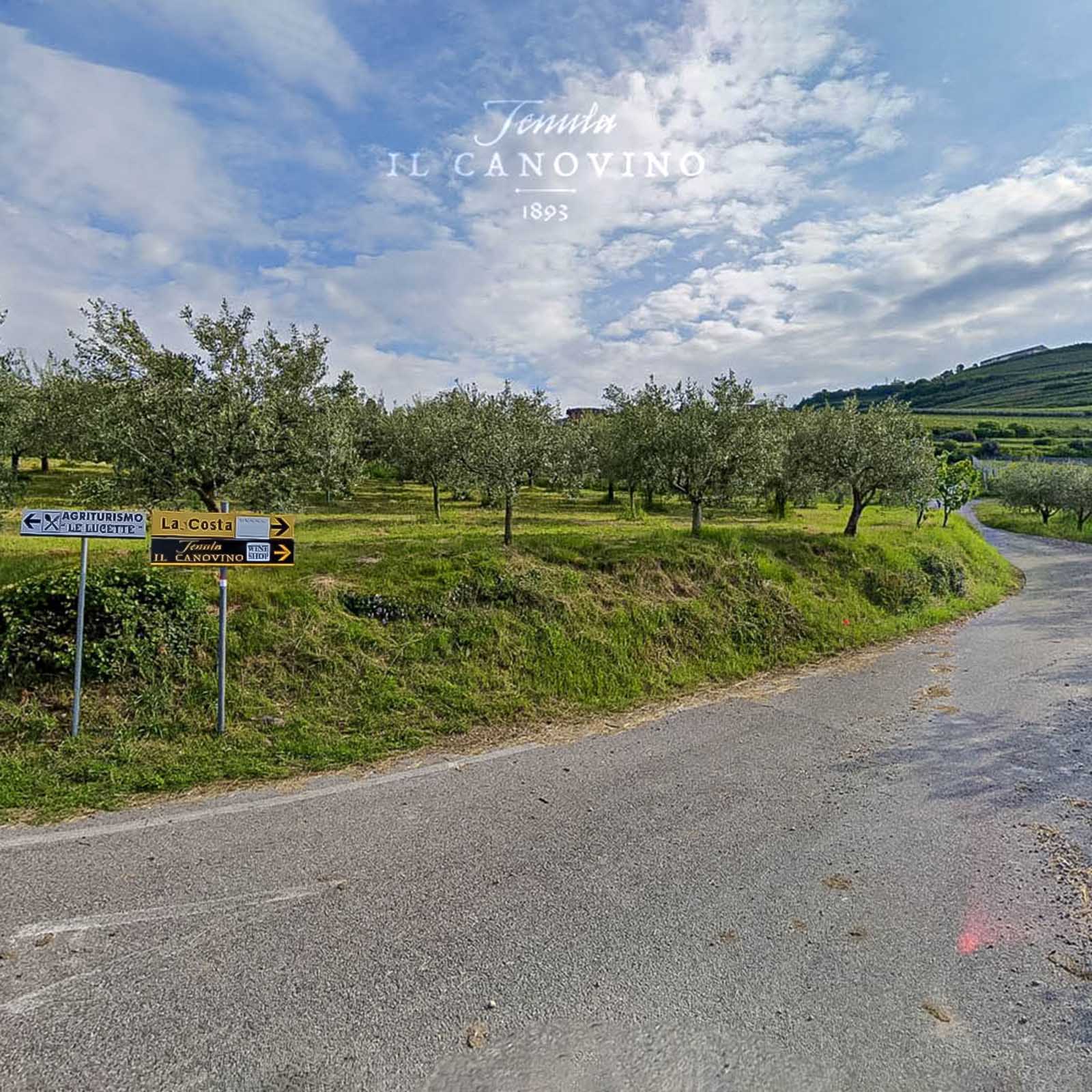 Valpolicella Ripasso Superiore 2021
