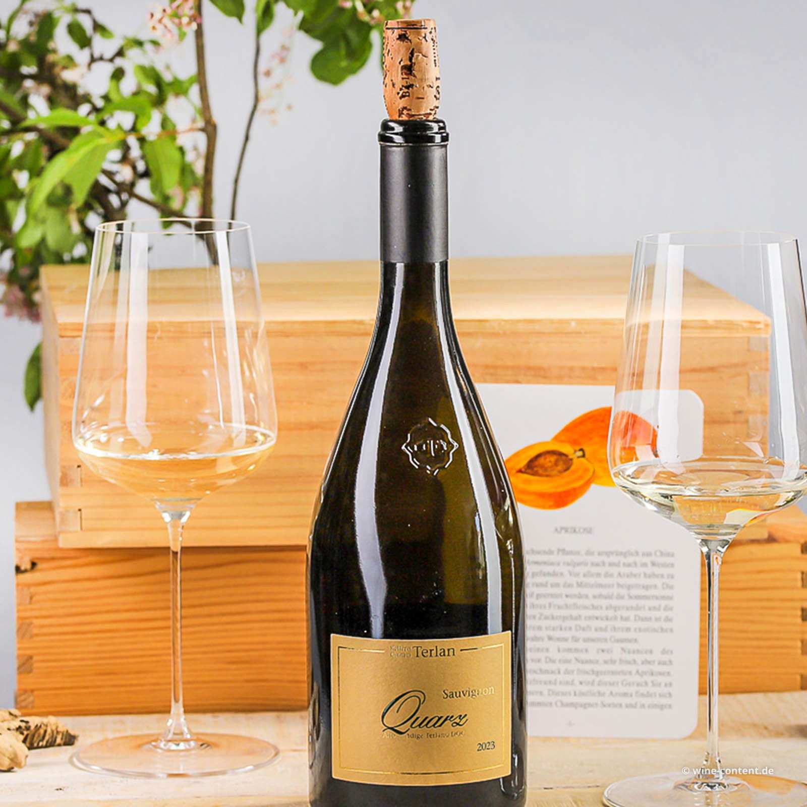 Sauvignon Blanc 2023 Quarz