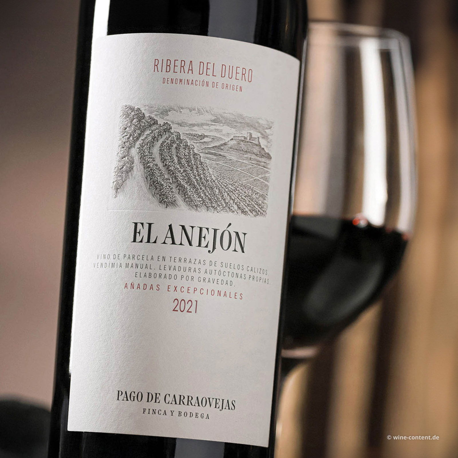 El Anejón 2021 Magnum