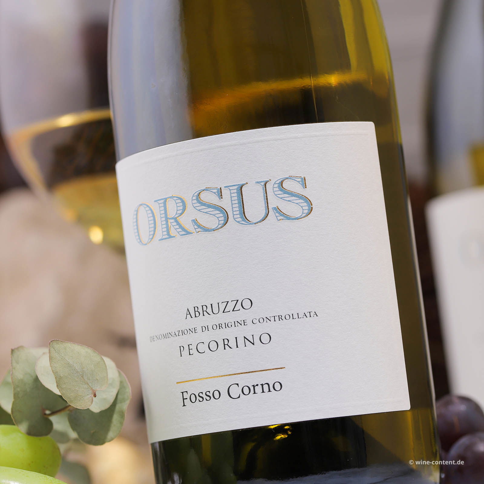 Pecorino Abruzzo 2024 Orsus