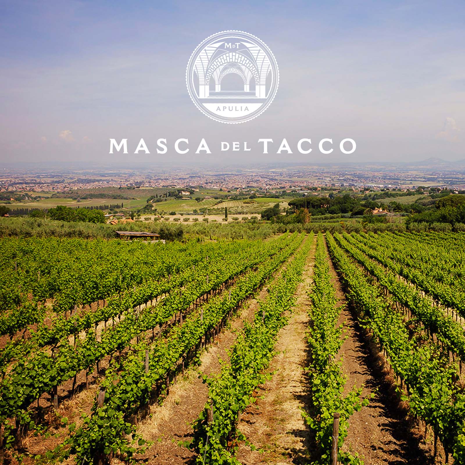 Primitivo di Manduria Riserva 2023 Piano Chiuso