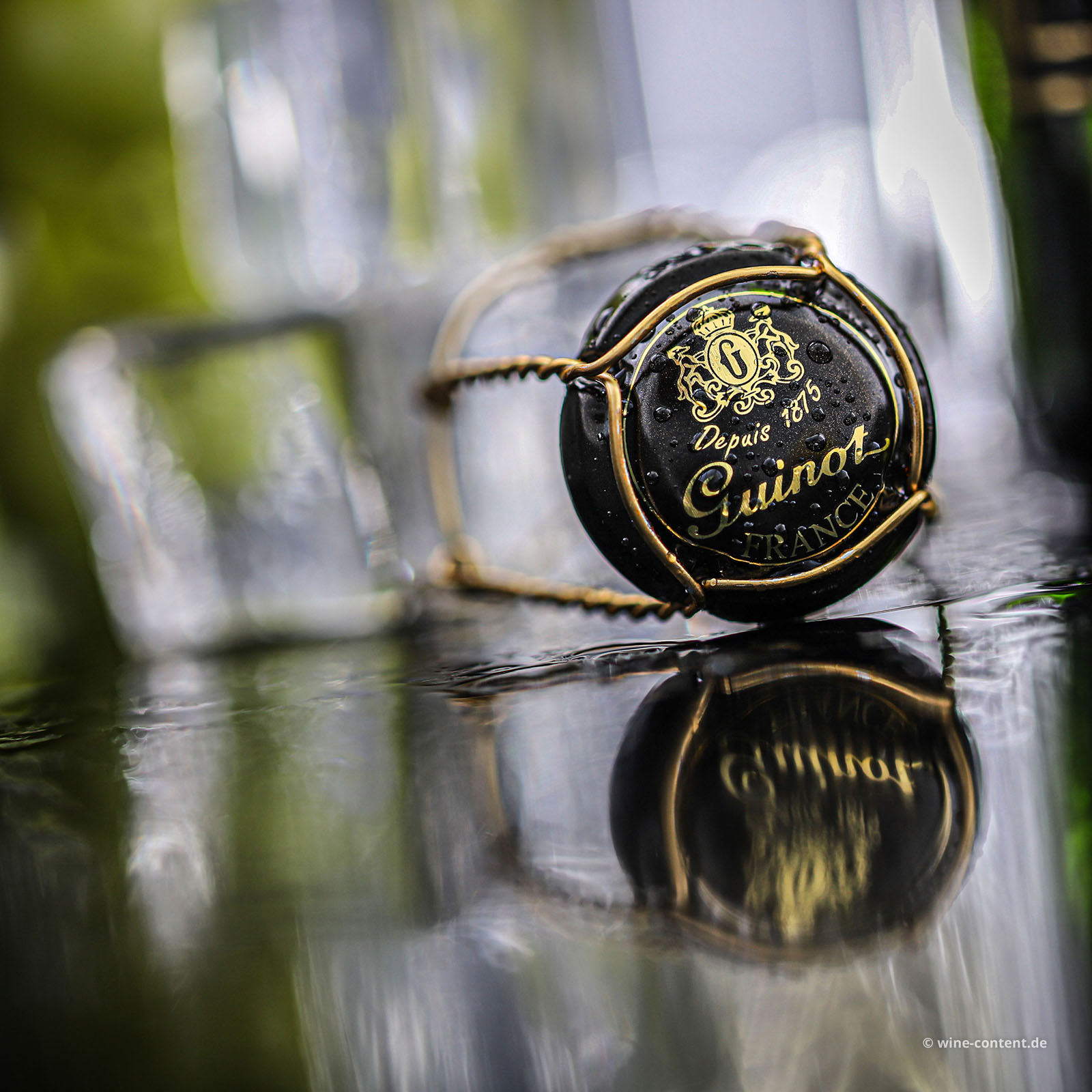 Blanquette de Limoux Vieille Cuvée Brut