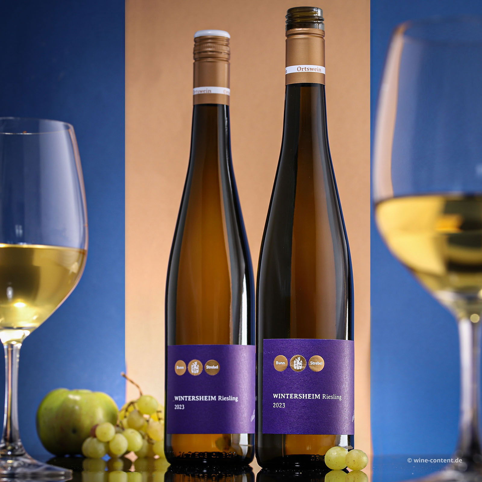 Riesling 2023 Wintersheim
