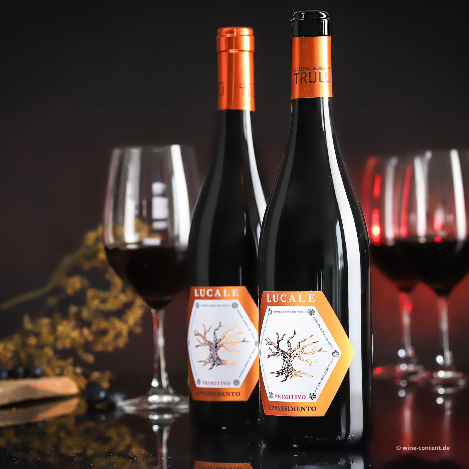 Primitivo Appassimento 2023 Lucale